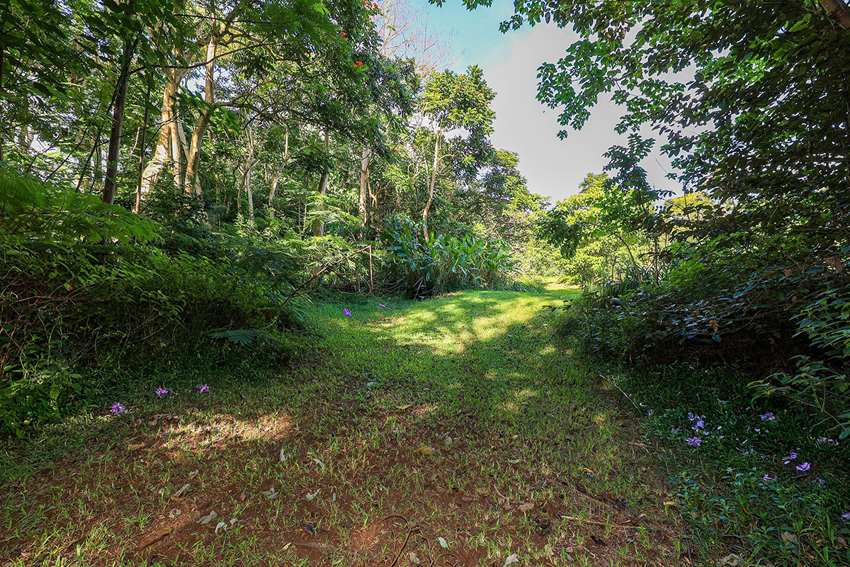 6828-B KUAMOO RD 2, Kapaa, Hawaii, 96746, United States, ,Land,For Sale,6828-B KUAMOO RD 2,1672725