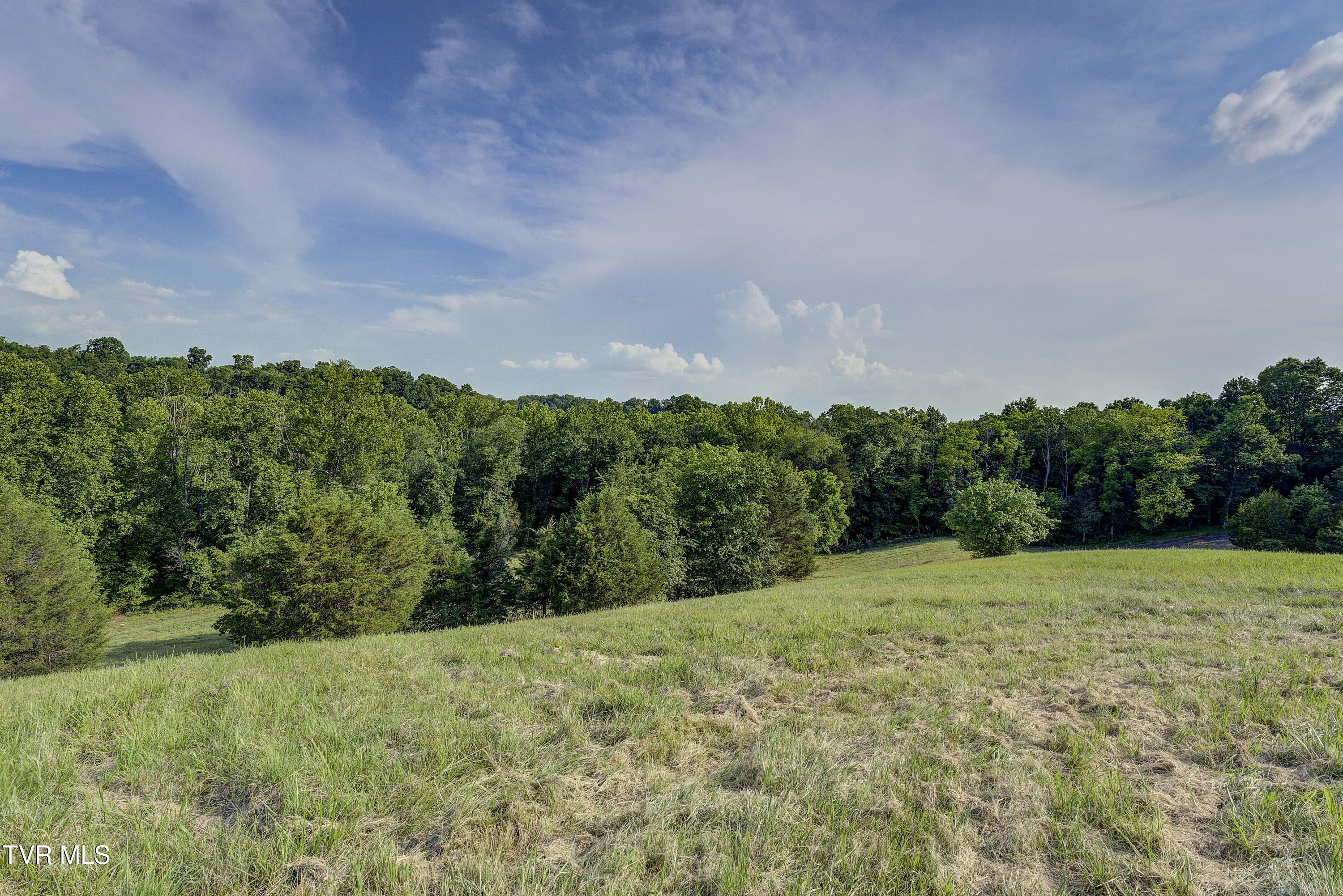 Piney Flats, Tennessee, 37686, United States, ,Land,For Sale,1983828
