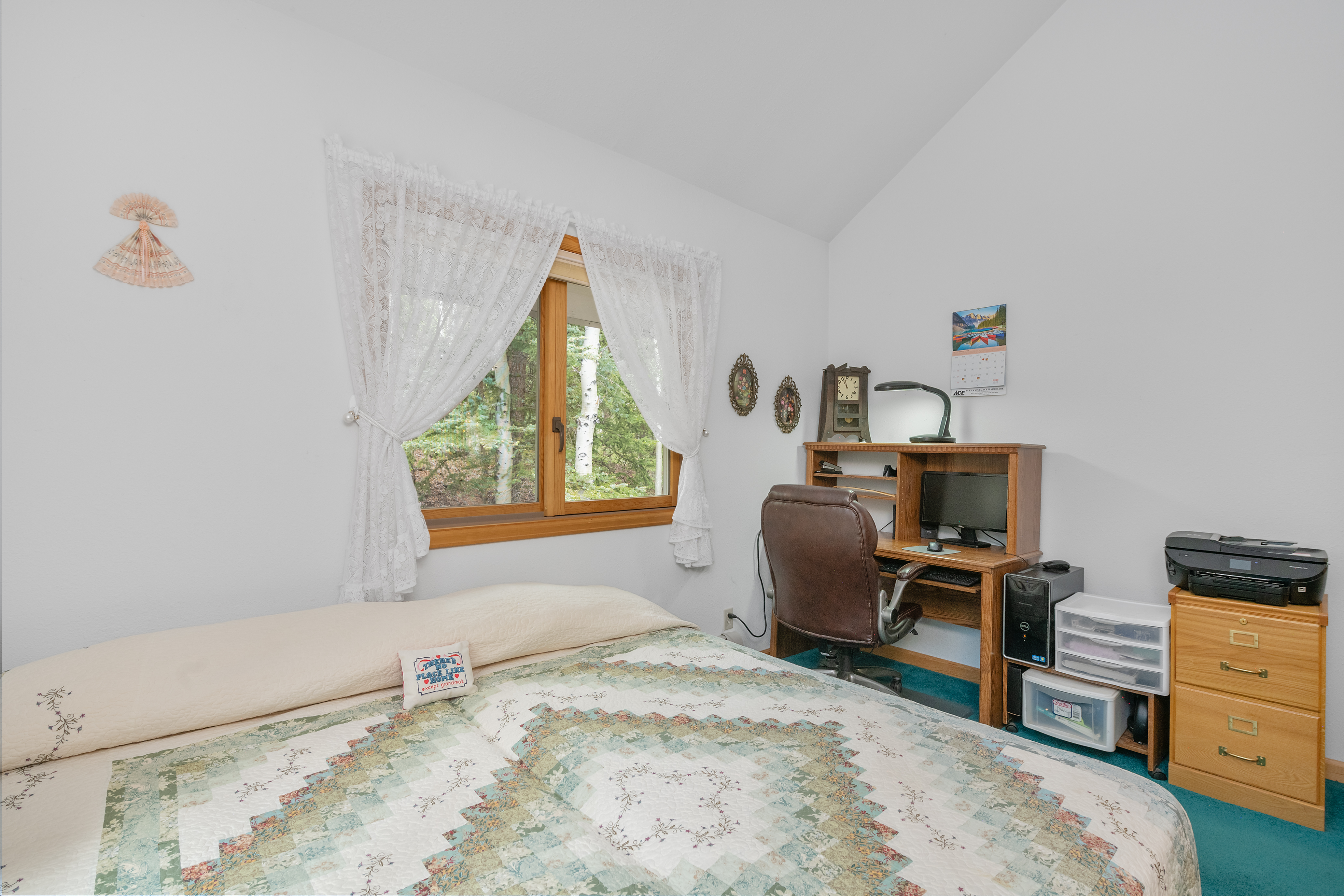  2079 Hummingbird Lane, Lake City, CO, 81235 - 物件實景