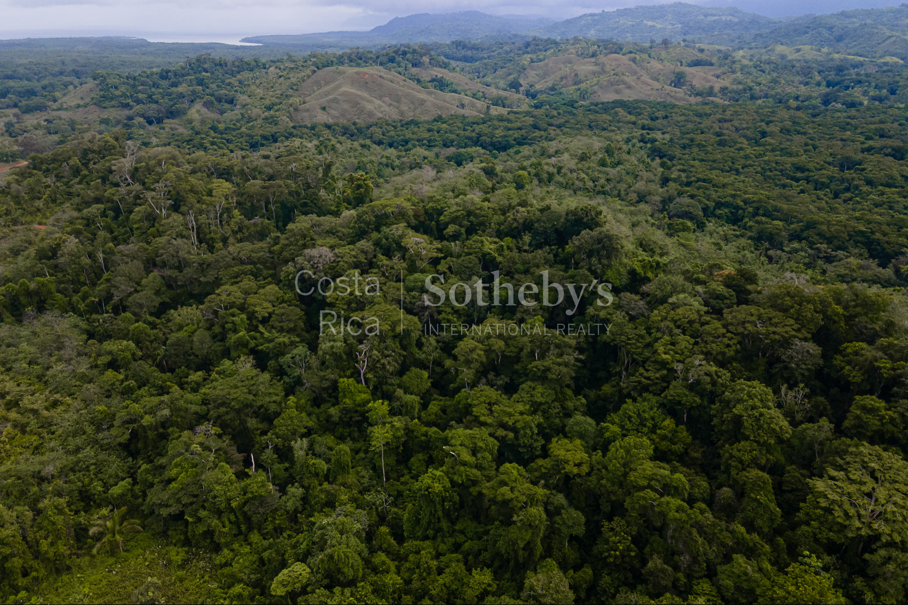  Ocean and River Views in Pristine South Costa Rica - 物件實景