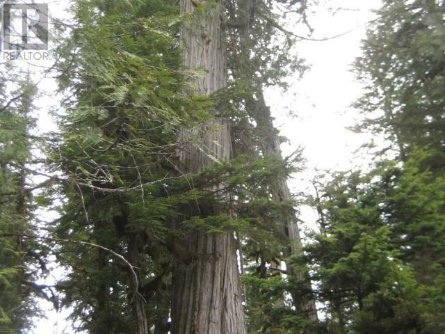WELLS GRAY, British Columbia, V0E 1N1, CA, 1 Bedroom Bedrooms, ,1 BathroomBathrooms,Residential,For Sale,1838822