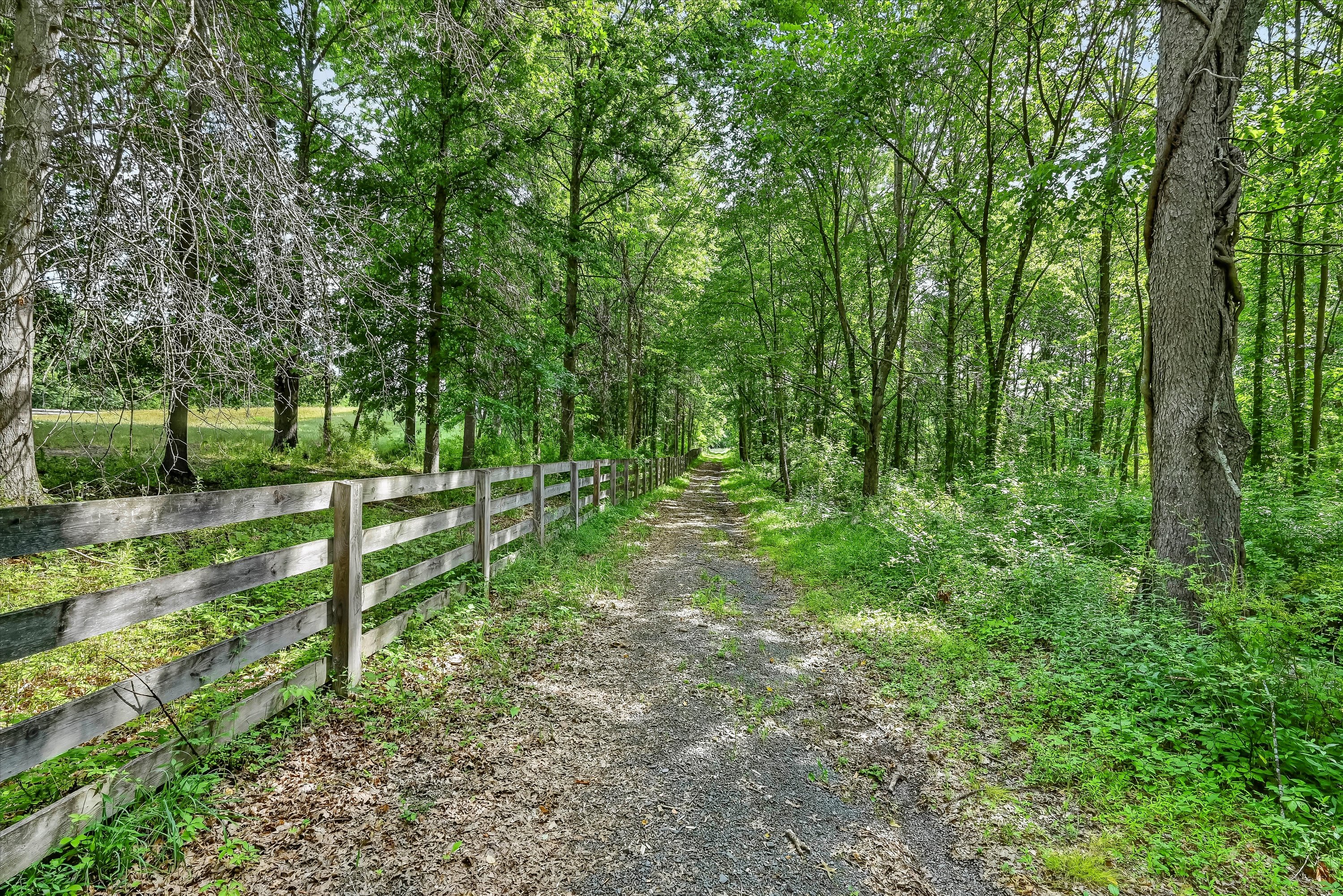  Bucolic Equine Estate - 物件實景