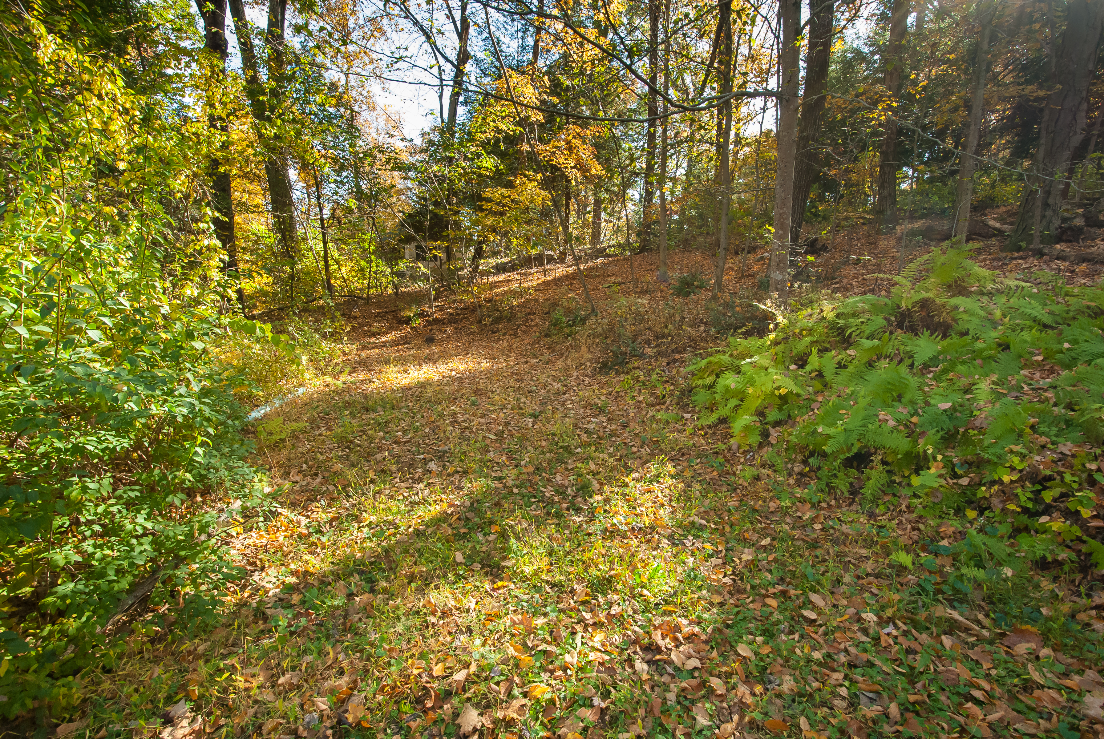  Nestled in the Hills of Southbury - 物件實景