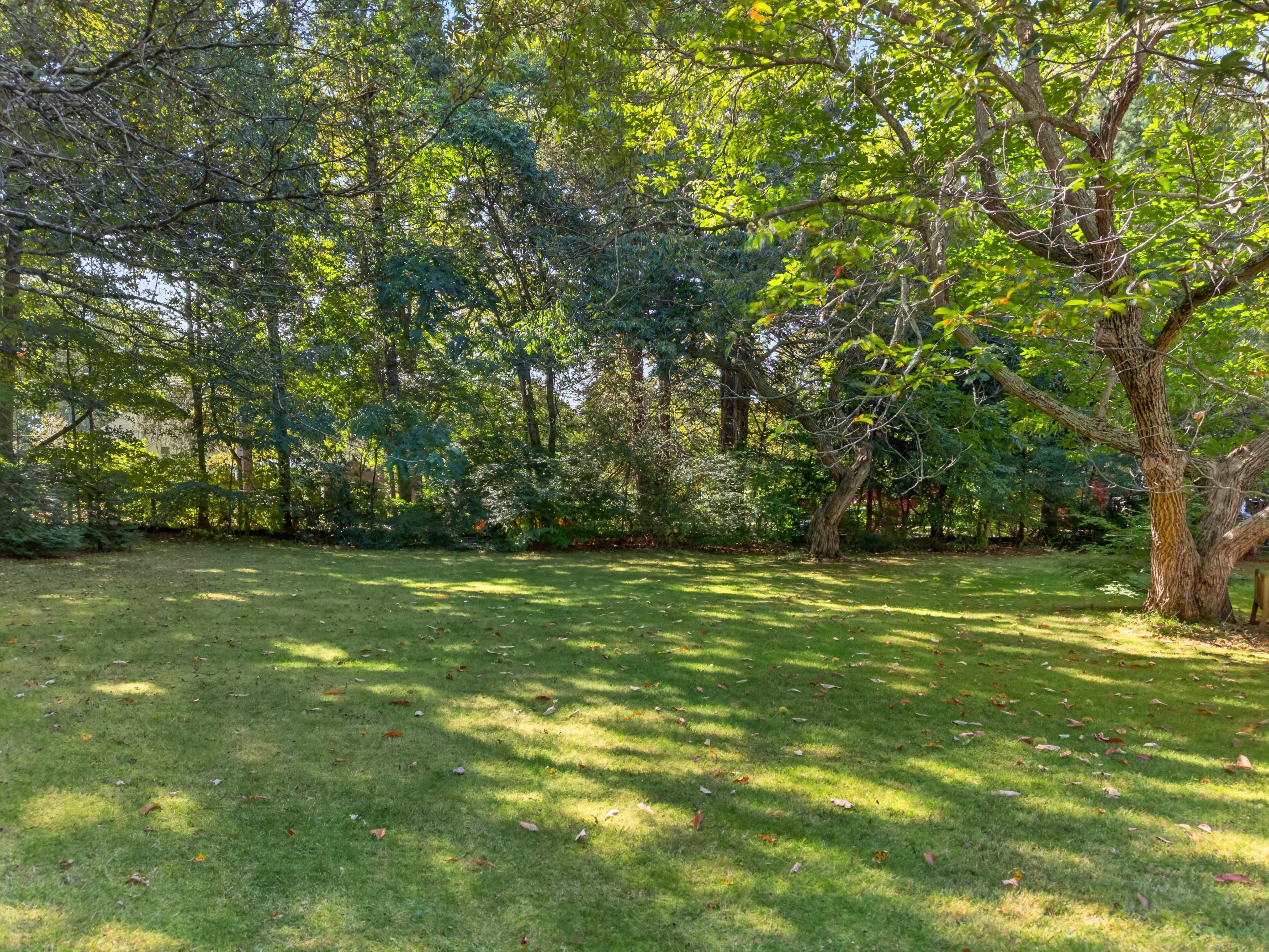  Charming and Updated Historic Colonial on 1.40 Acres - 物件實景