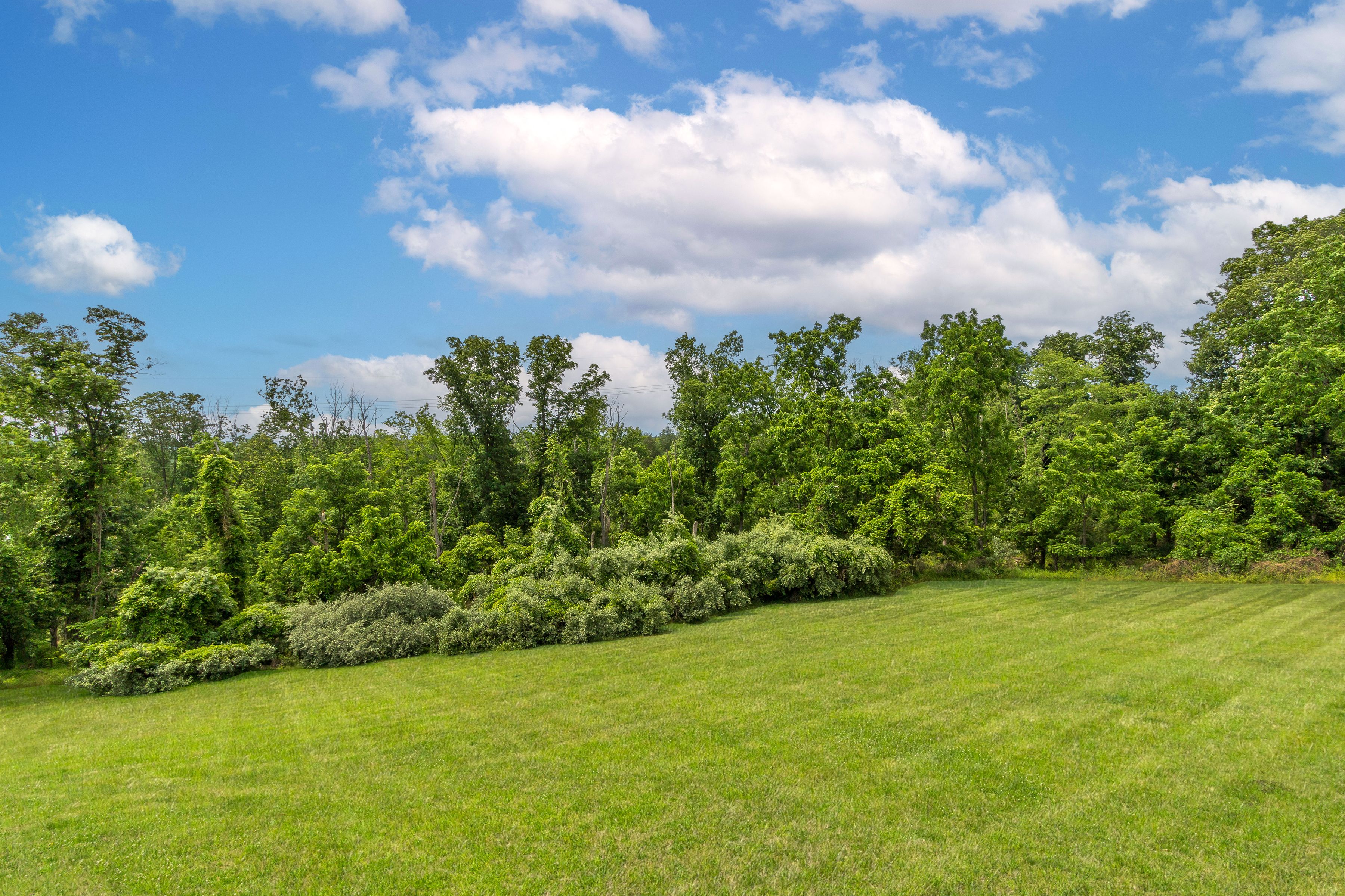  38 Music Mountain Boulevard, Lambertville, NJ 08530 - 物件實景