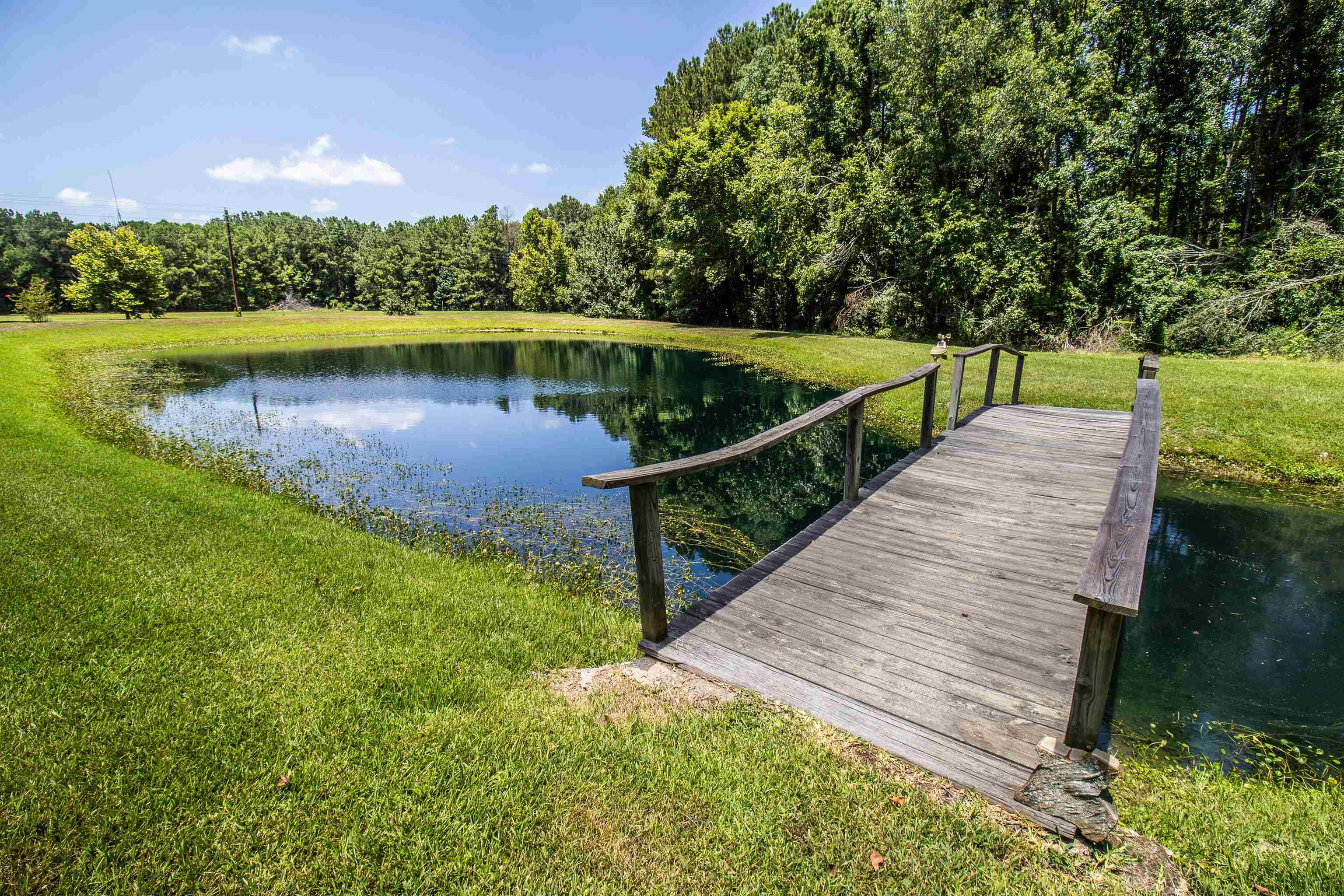 De Berry, Texas, 75639, United States, 4 Bedrooms Bedrooms, ,3 BathroomsBathrooms,Residential,For Sale,1980783