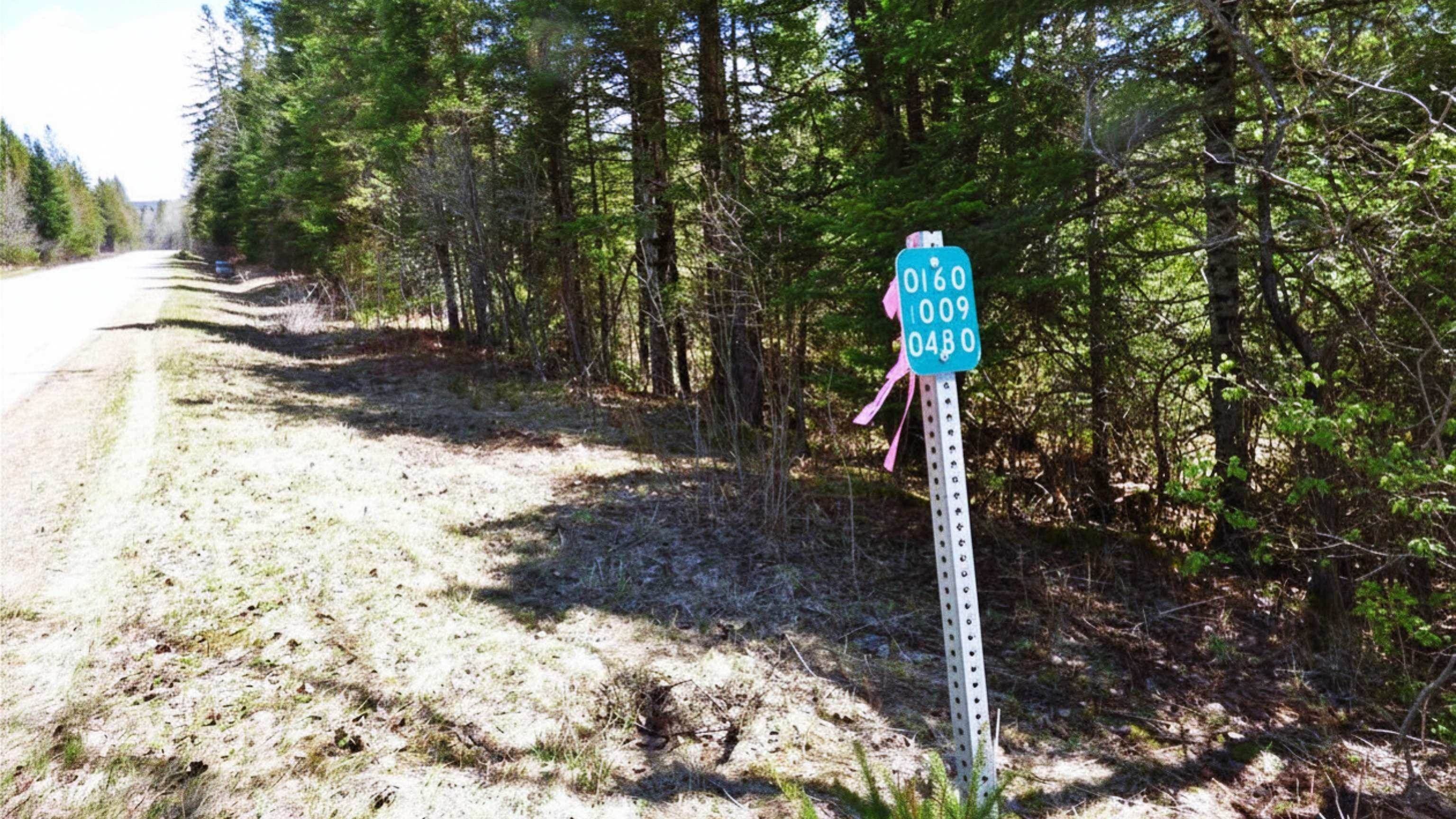 Wheelock, Vermont, 05851, United States, ,Land,For Sale,2017669