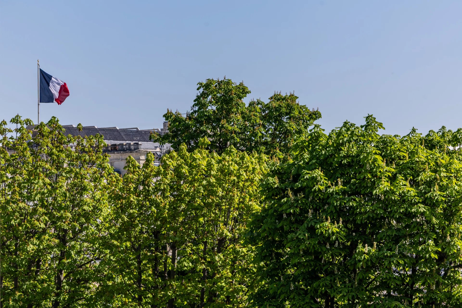 Paris 8th, Île-de-France, 75008, FR, 4 Bedrooms Bedrooms, ,4 BathroomsBathrooms,Residential,For Sale,1865349