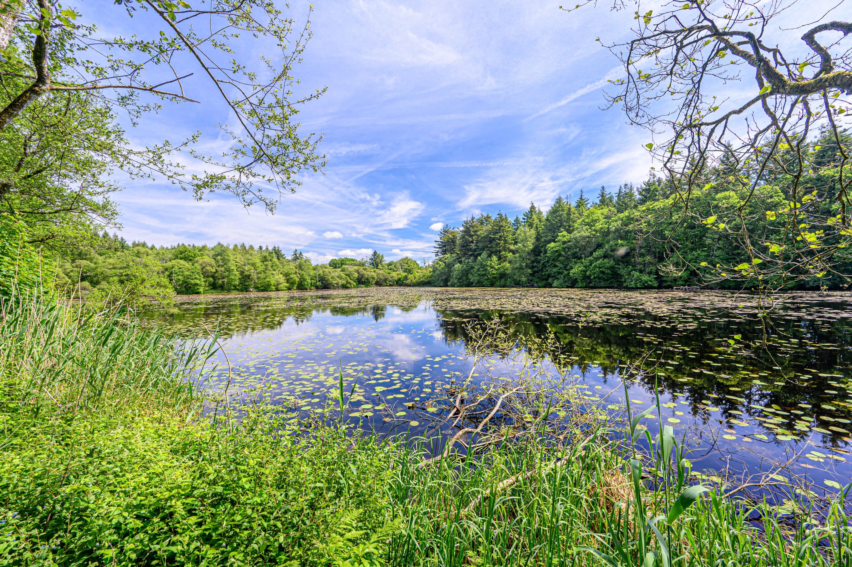  An exceptional chateau in Morbihan  - 物件實景