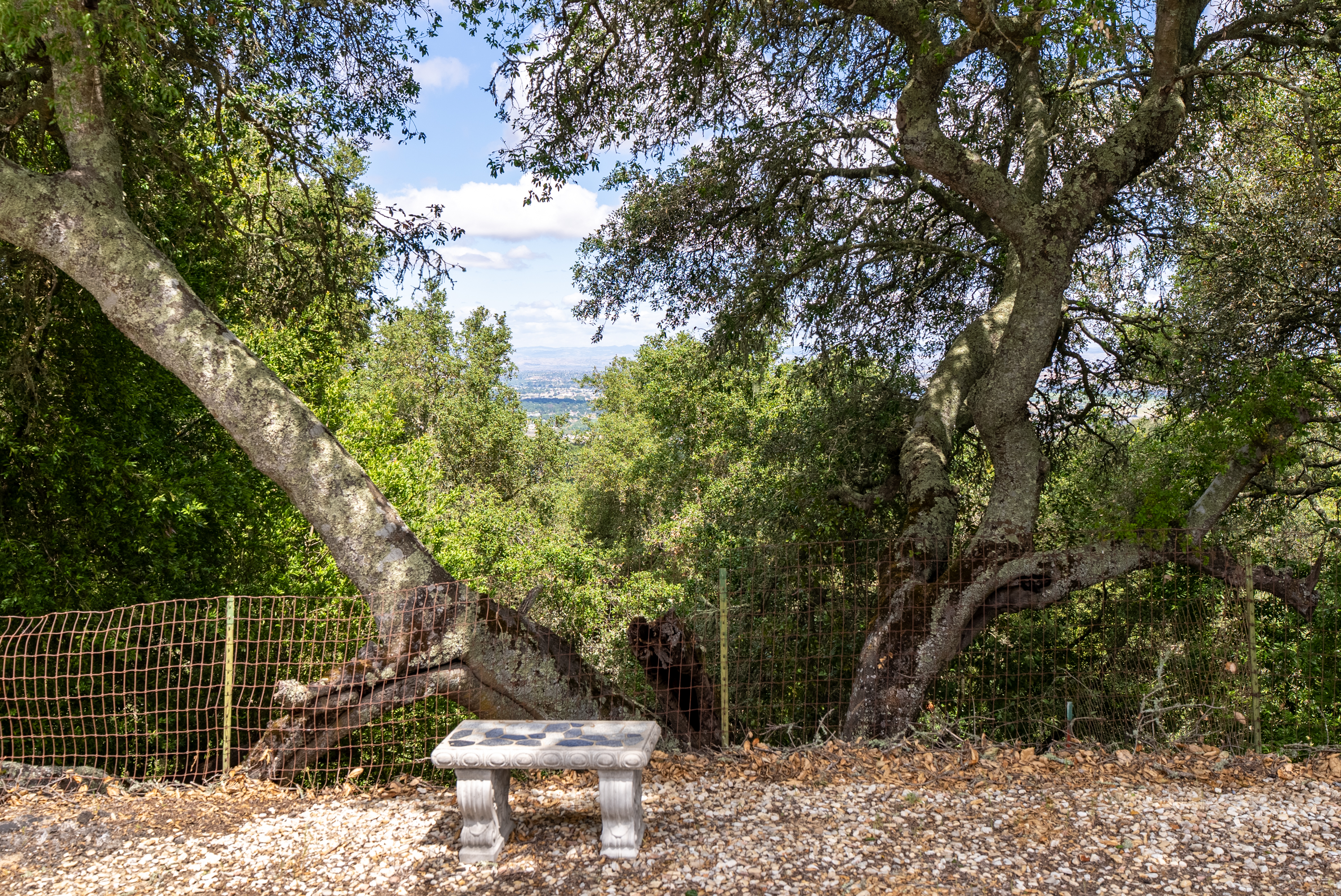  13305 Santa Ana Road, Atascadero, CA 93422 - 物件實景