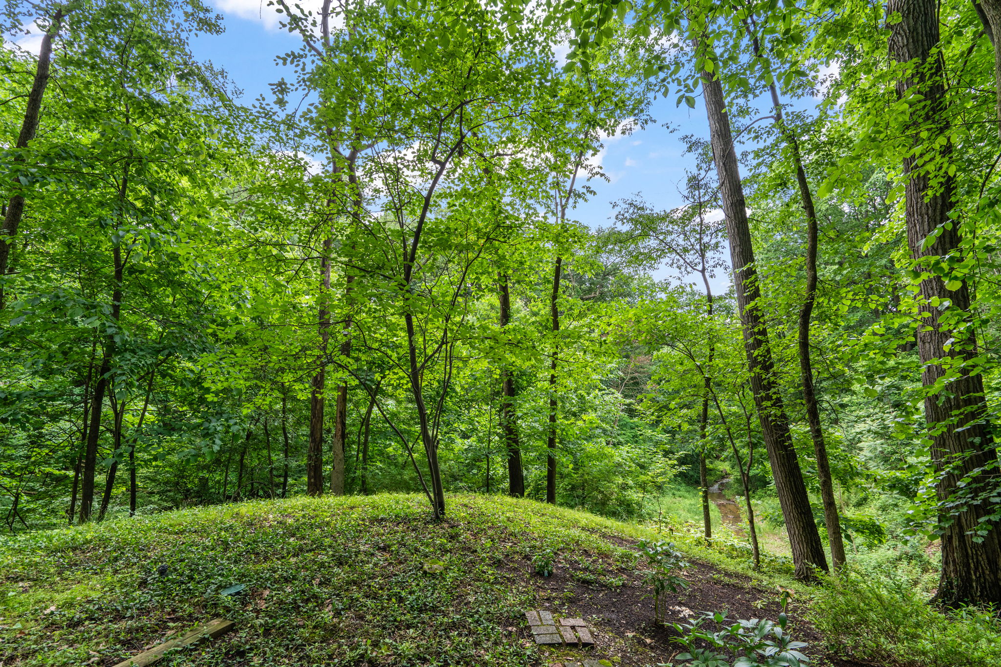  Modern Contemporary Home Nestled on a 1.3 Acre Wooded Lot - 物件實景
