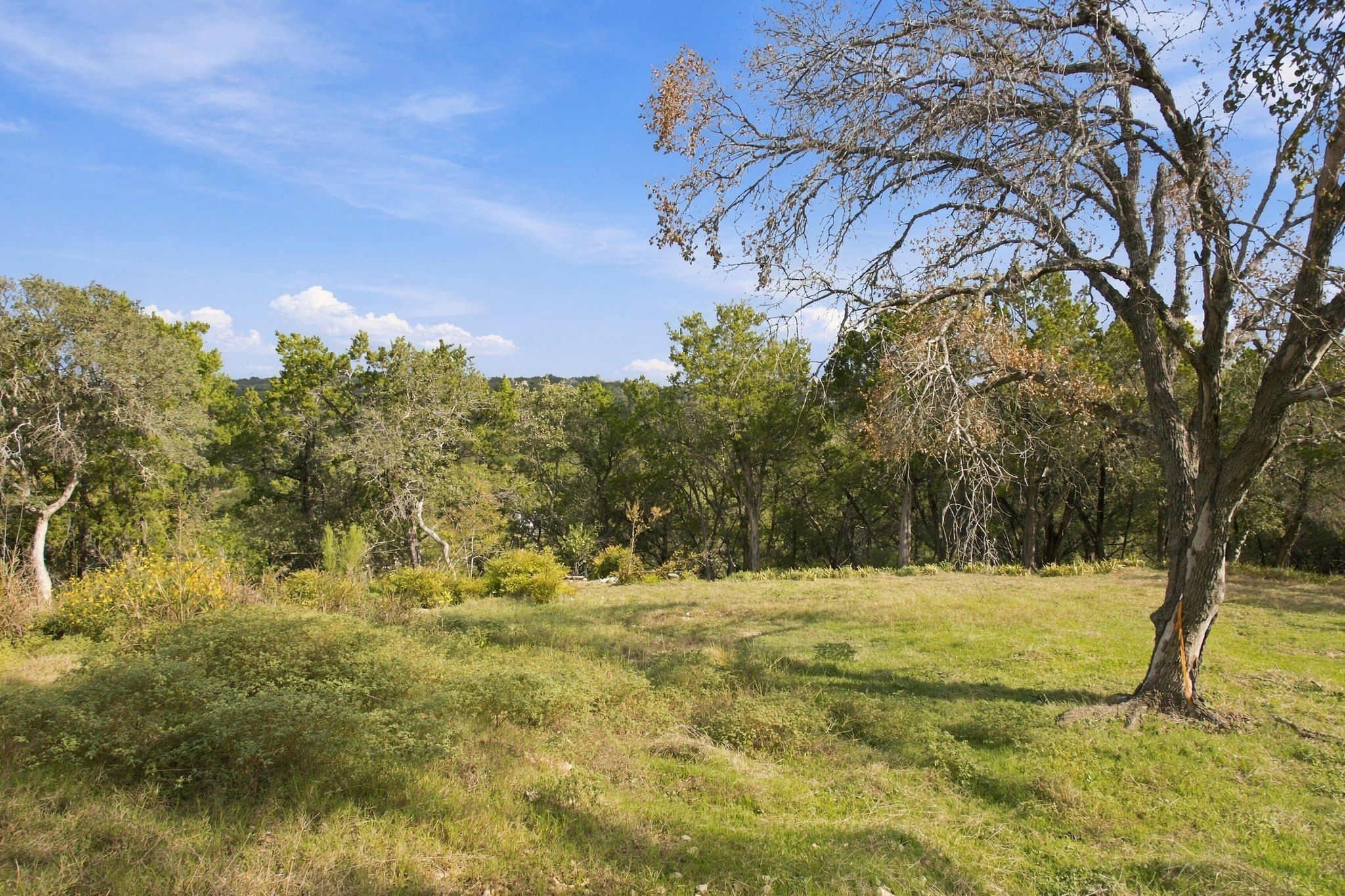  Private acreage in The Estates of Barton Creek - 物件實景