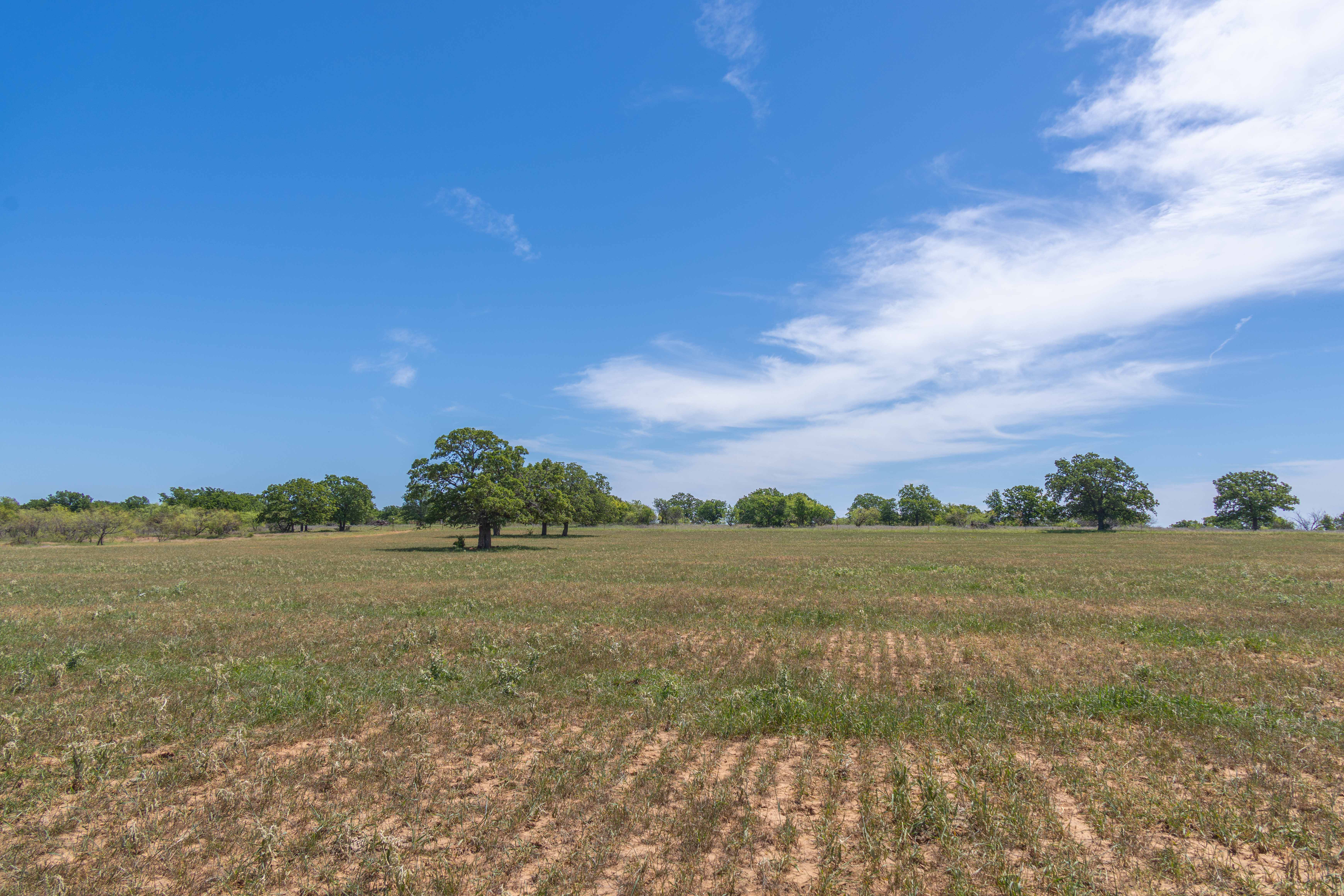  7582 Fm 2652, Loving, TX, 76460 - 物件實景
