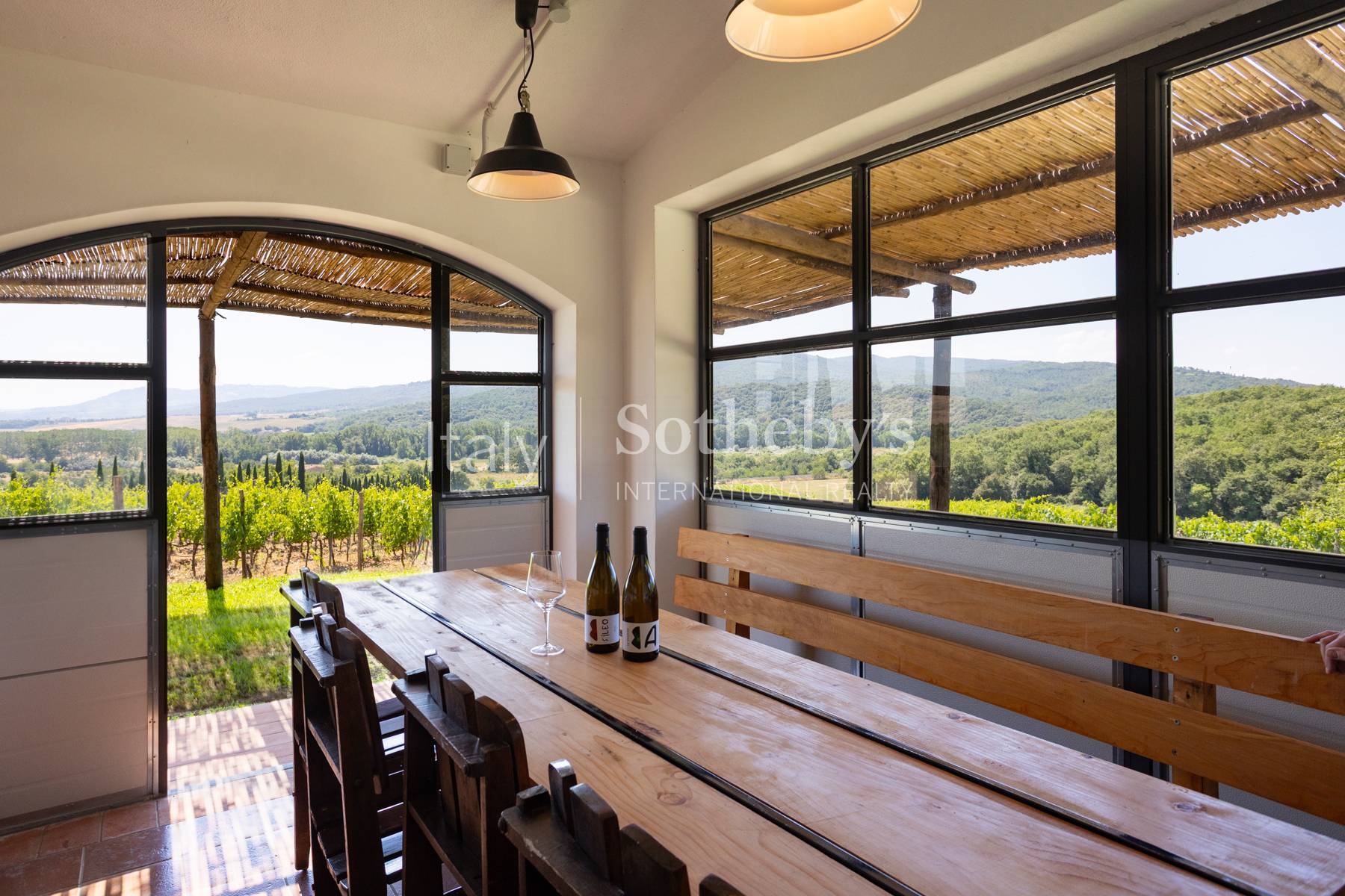  Tuscan estate with vineyards and winery - 物件實景