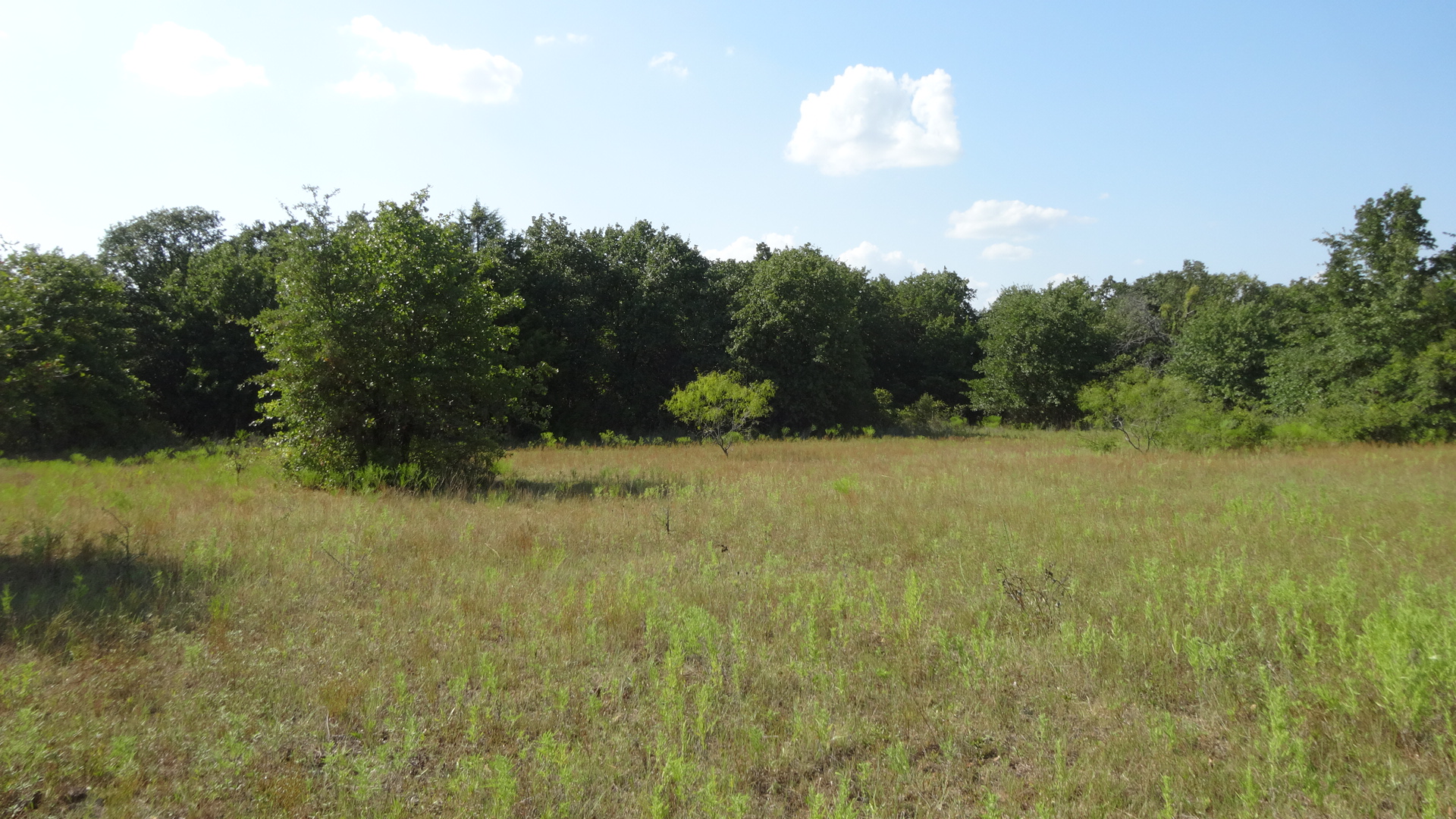 0 Highway 114, Boyd, Texas, 76023, United States, ,Residential,For Sale,0 Highway 114,1008641