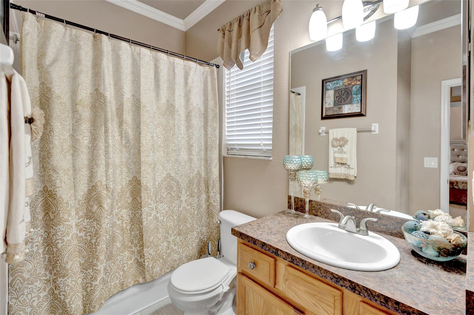 WESLEY CHAPEL, Florida, 33545, United States, 5 Bedrooms Bedrooms, ,3 BathroomsBathrooms,Residential,For Sale,1981235