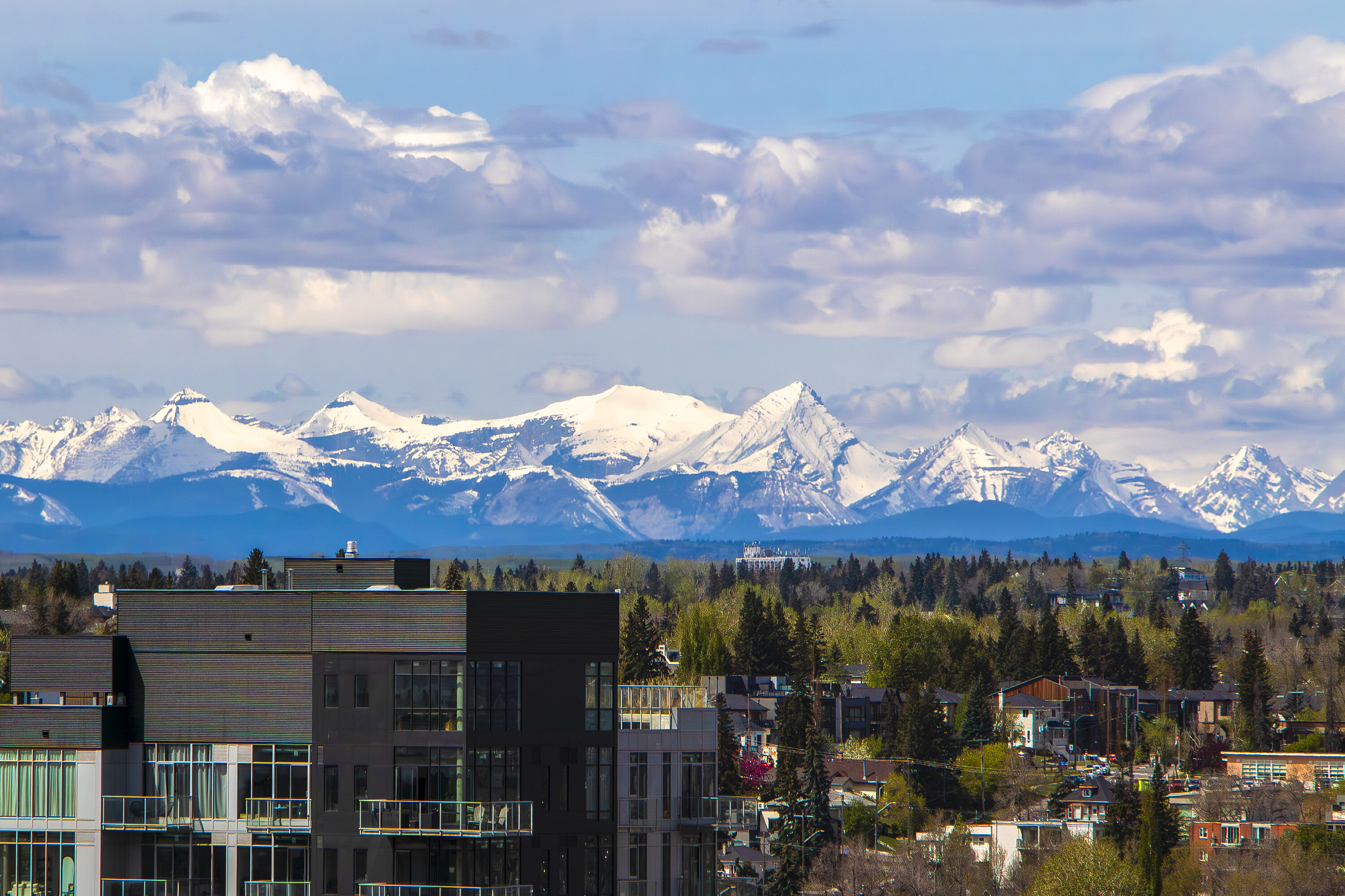 Calgary, Calgary and Foothills - 物件實景