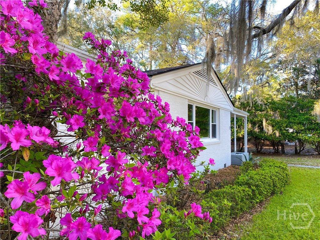 Savannah, Georgia, 31406, United States, 3 Bedrooms Bedrooms, ,1 BathroomBathrooms,Residential,For Sale,1938415