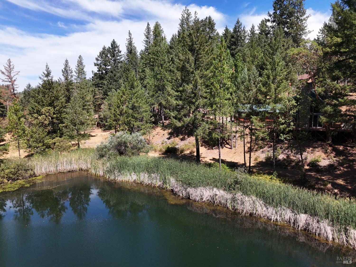 Willits, California, 95490, United States, 2 Bedrooms Bedrooms, ,2 BathroomsBathrooms,Residential,For Sale,1981529