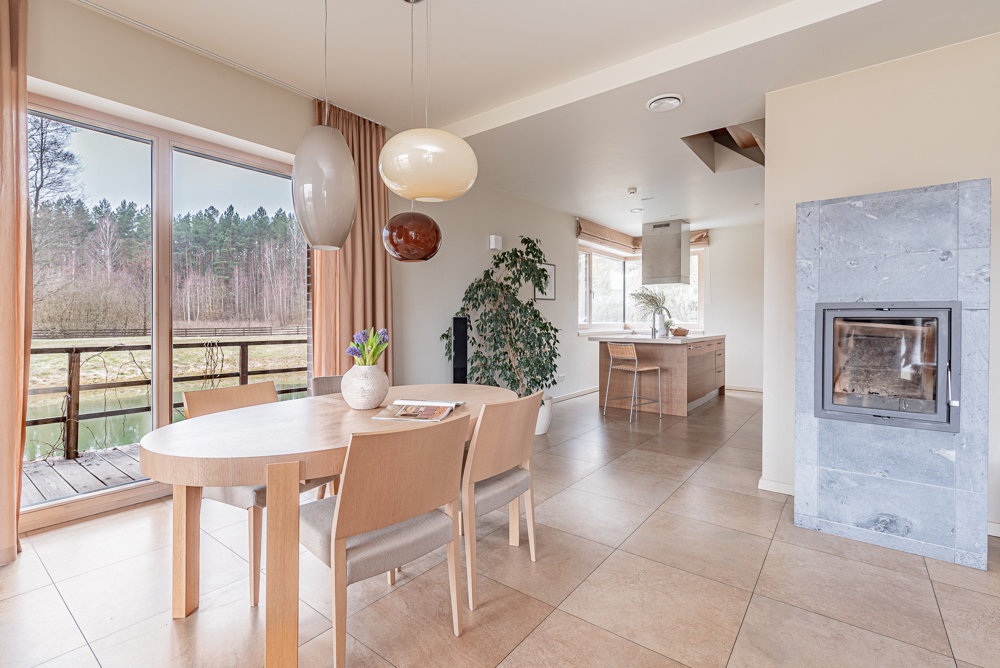  A spacious lakeshore residence near Druskininkai - 物件實景