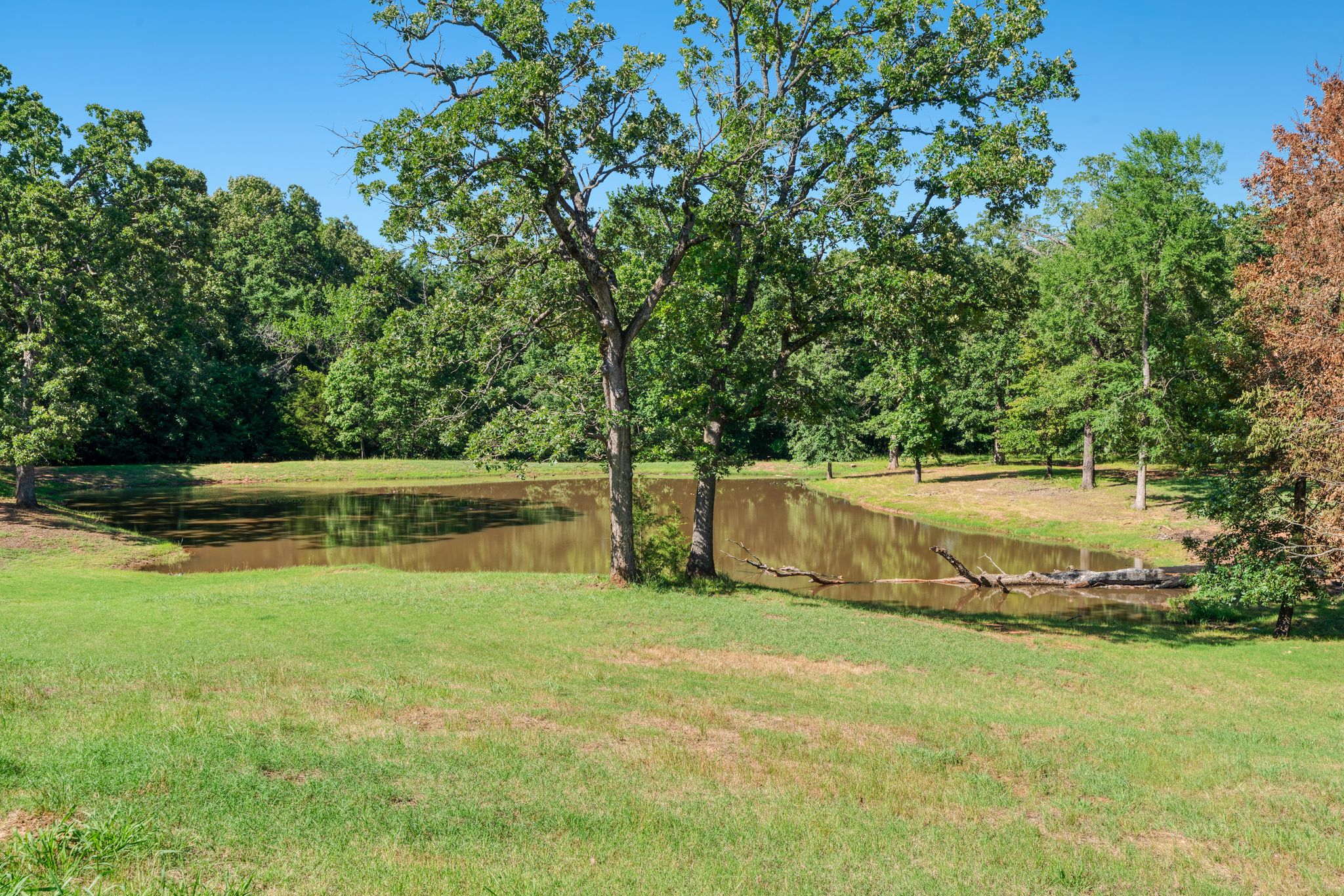 Powderly, Texas, 75473, United States, 3 Bedrooms Bedrooms, ,2 BathroomsBathrooms,Land,For Sale,1917710