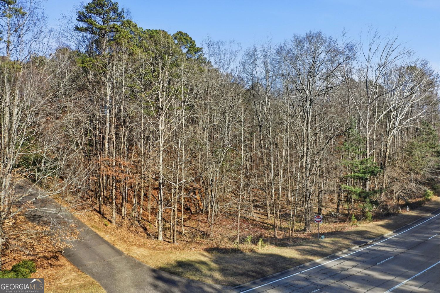 Canton, Georgia, 30114, United States, ,Land,For Sale,2013607