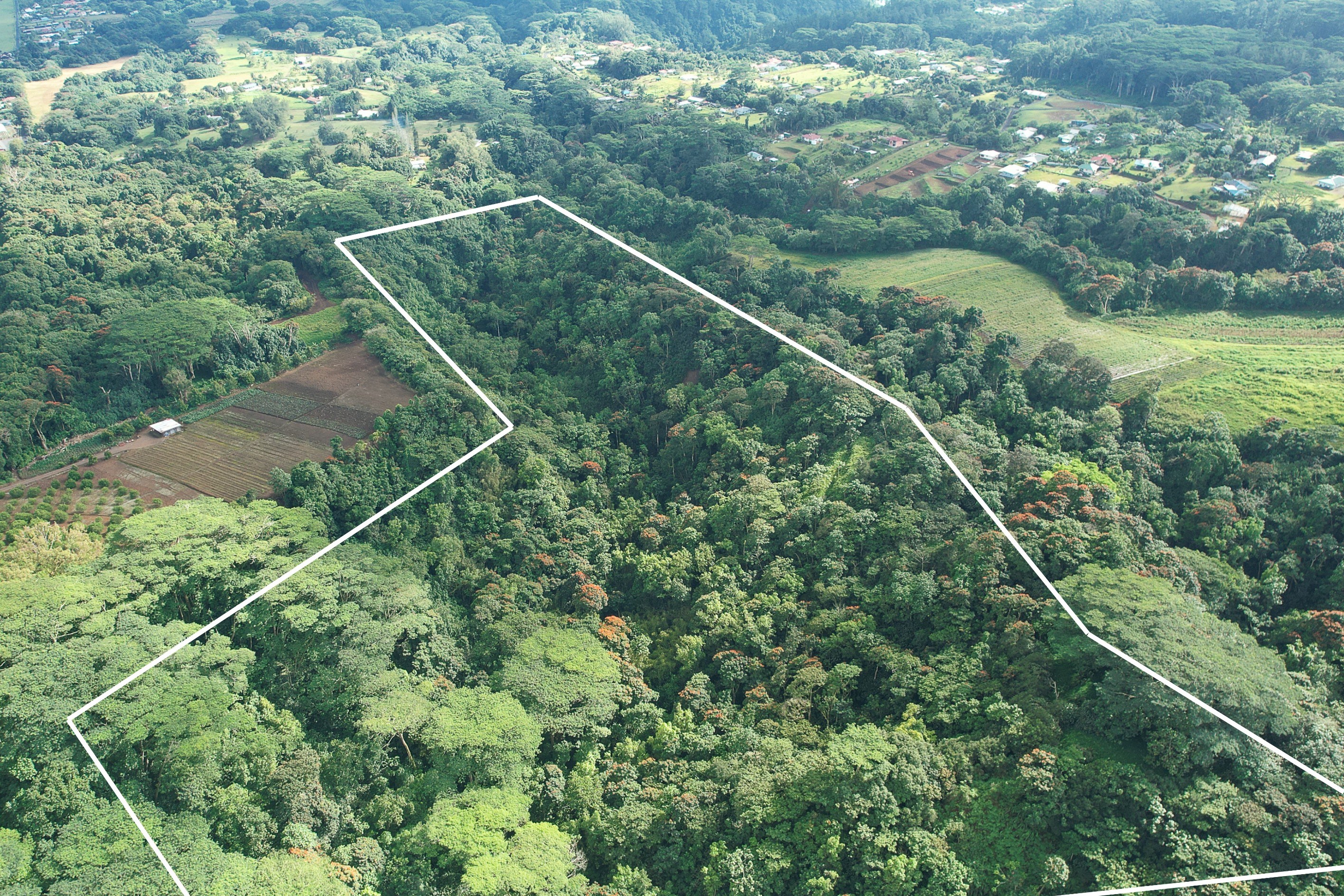  Tahiti - Afaahiti - Exceptional land surrounded by nature - 物件實景