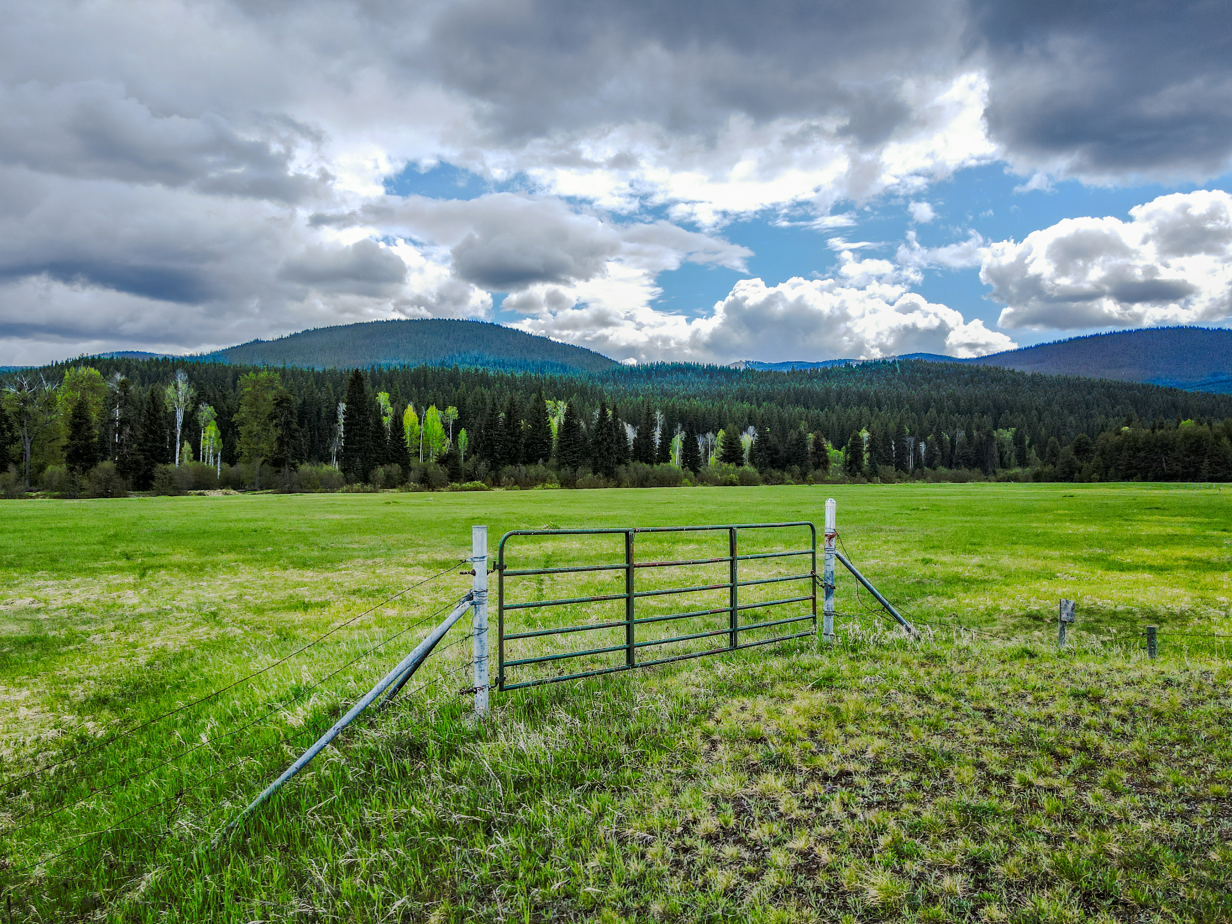 Yaak, Montana, 59935, United States, ,Land,For Sale,1983247