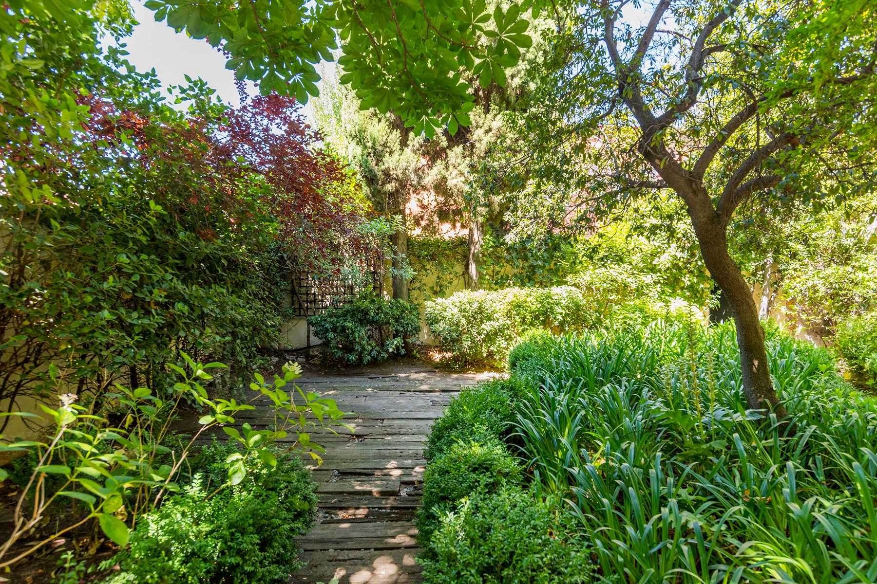  House with garden and private pool in El Viso. - 物件實景