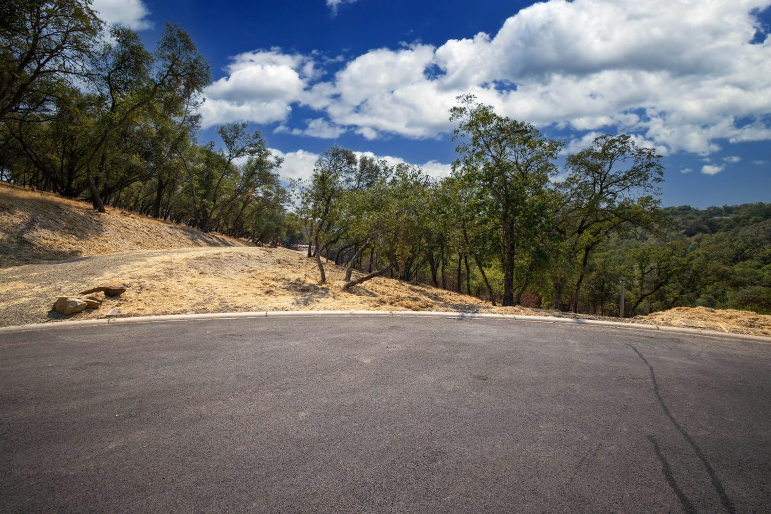 320 Raphael Court, El Dorado Hills, California, 95762, United States, ,Land,For Sale,320 Raphael Court,1643043