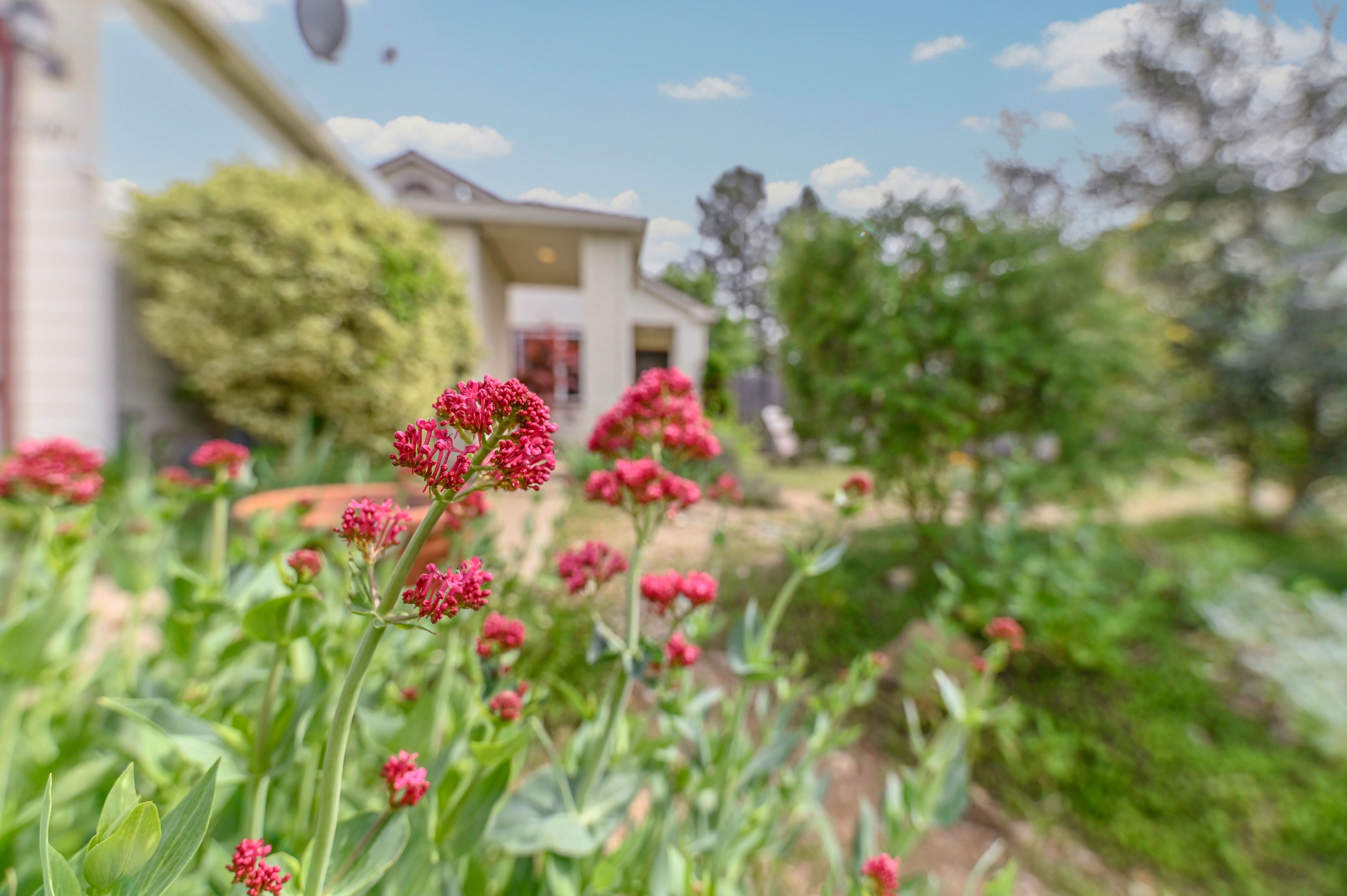  166 Placer Drive, Jackson, CA 95642 - 物件實景