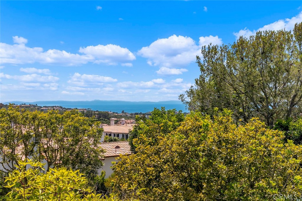 Newport Coast, California, 92657, United States, 5 Bedrooms Bedrooms, ,4 BathroomsBathrooms,Residential,For Sale,1991389