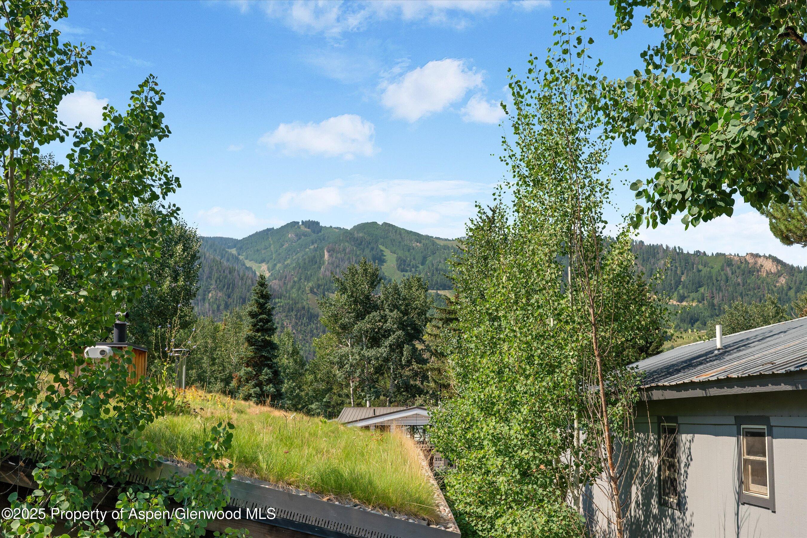 Aspen, Colorado, 81611, United States, 2 Bedrooms Bedrooms, ,1 BathroomBathrooms,Residential,For Sale,1927391
