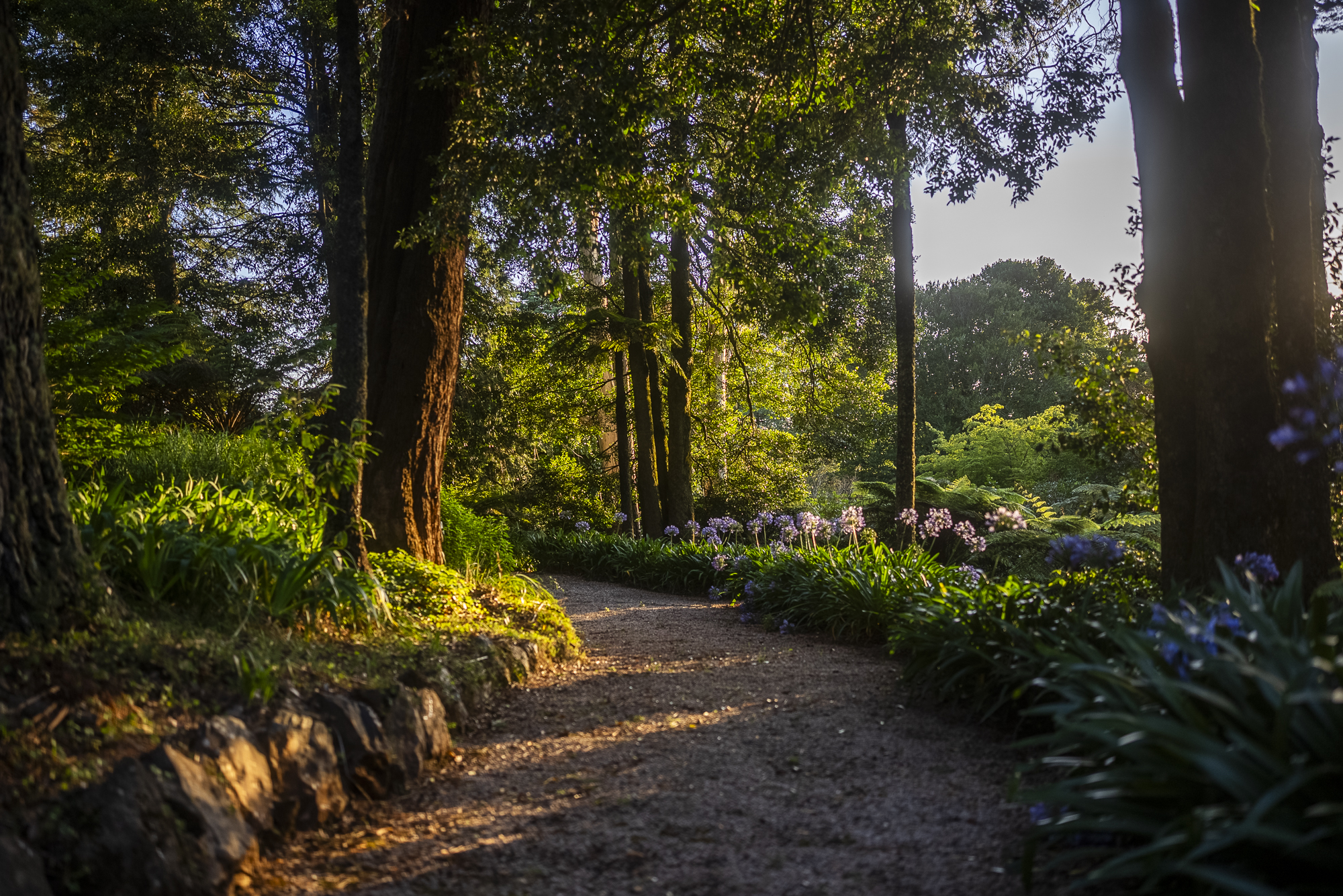  Sefton Hall - 物件實景