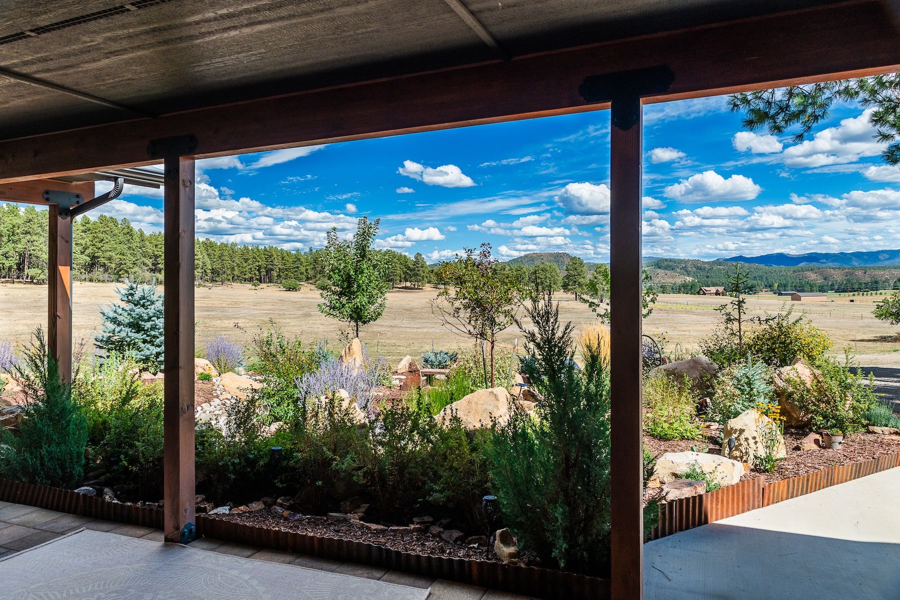  540 Bald Eagle Road, Bayfield, CO 81122 - 物件實景