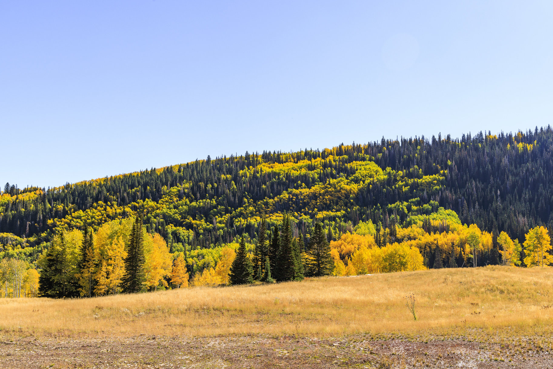  Incredible 28 Acre Estate Lot in the Colony at White Pine Canyon - 物件實景
