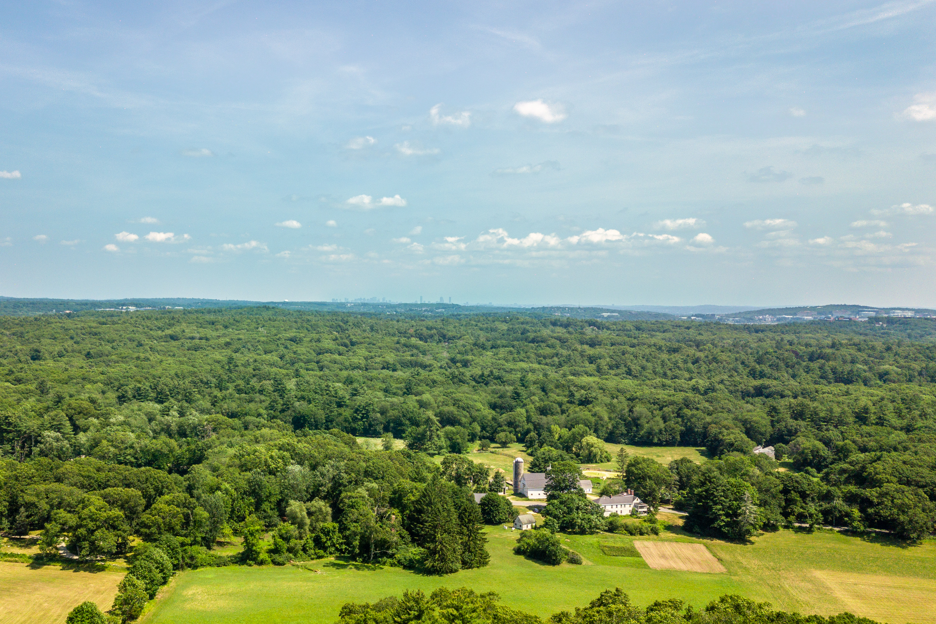  9 Hilliard Road, Lincoln, MA 01773 - 物件實景