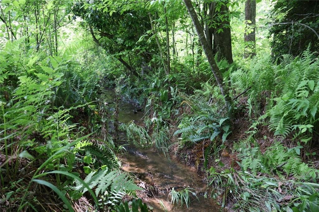 Ellijay, Georgia, 30540, United States, ,Residential,For Sale,1881390