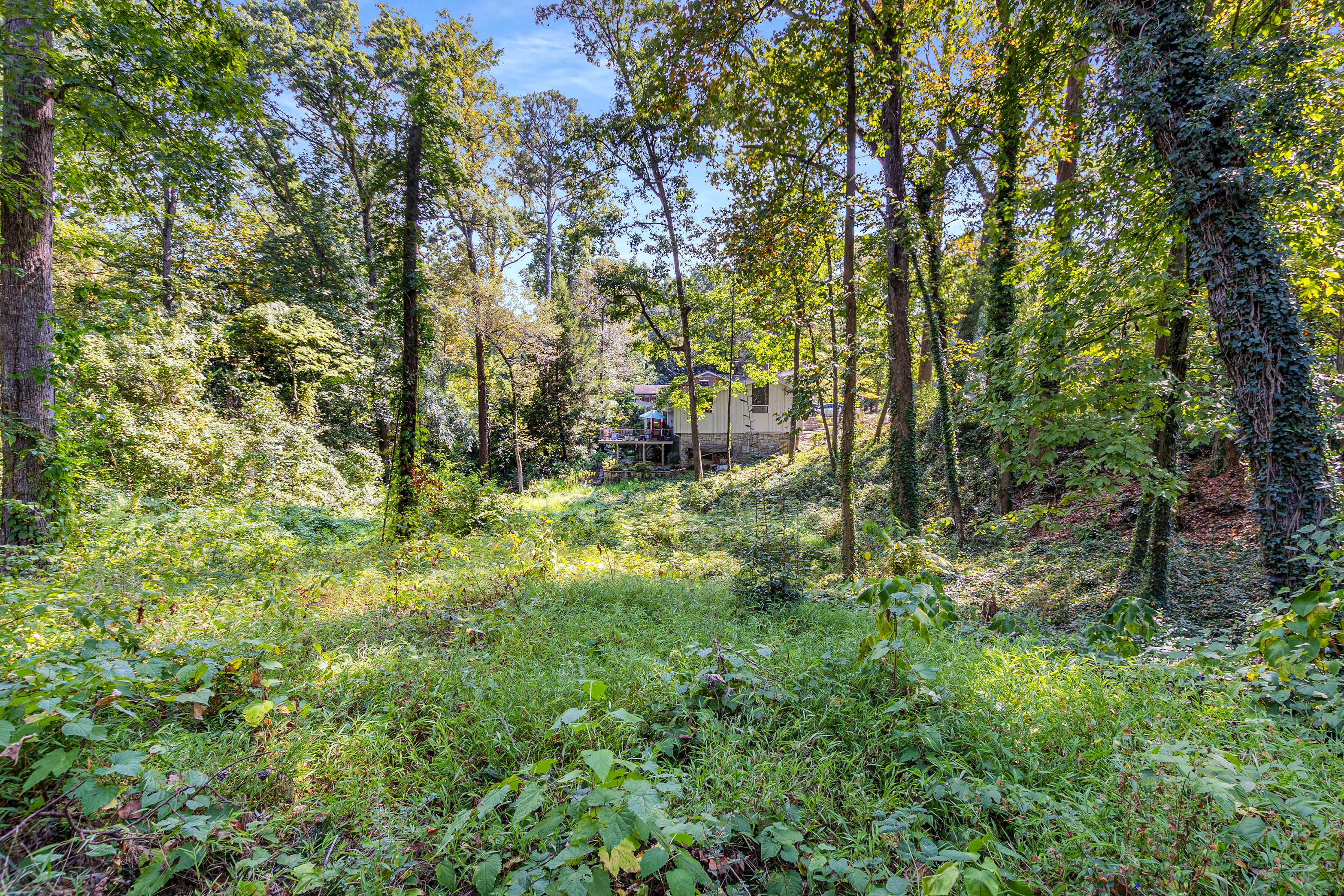  Three Contiguous Lots for New Construction in Historic Druid Hills - 物件實景