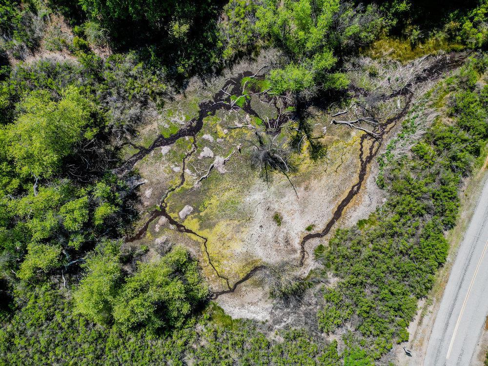 Greenfield, California, 93927, United States, ,Residential,For Sale,1943227