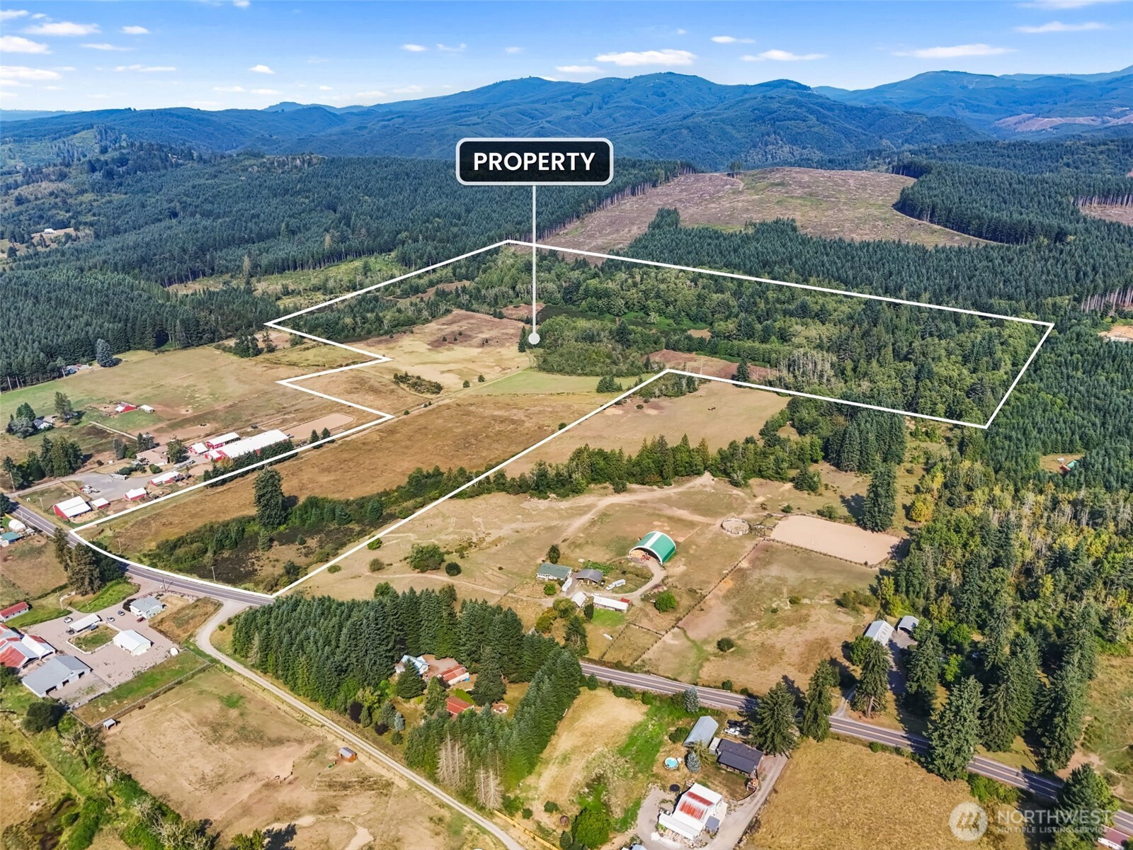 Onalaska, Washington, 98570, United States, ,Land,For Sale,1994245