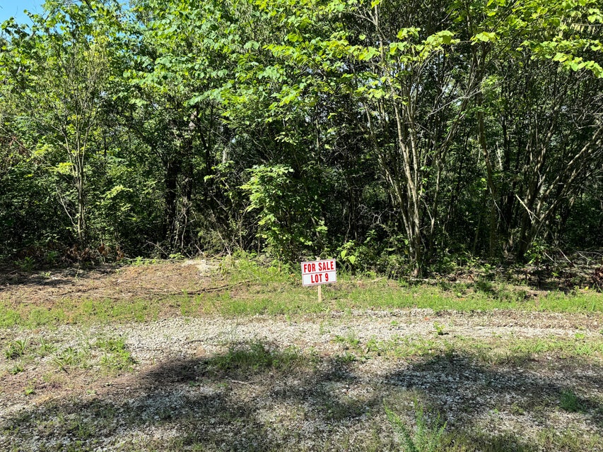 Somerset, Kentucky, 42501, United States, ,Residential,For Sale,1923151