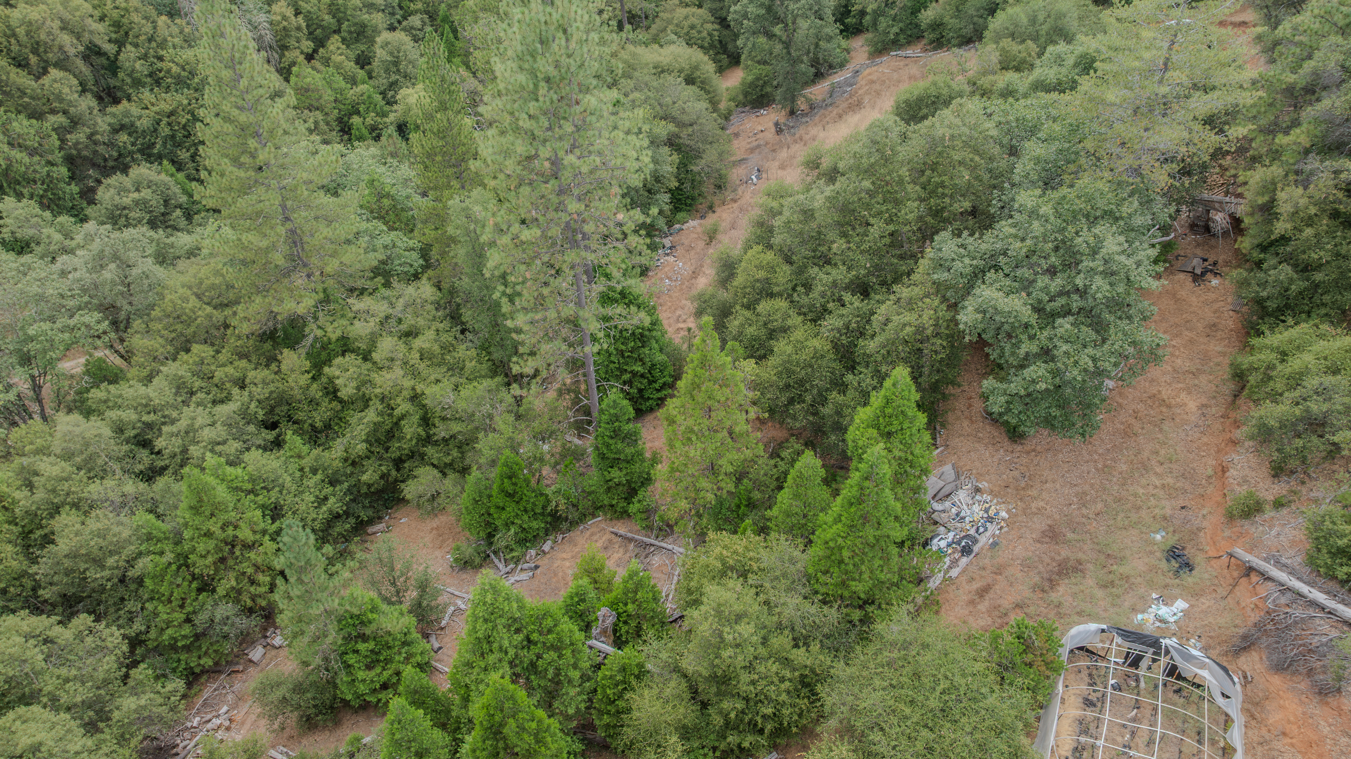  18101 Old River Road, Fiddletown, CA 95629 - 物件實景