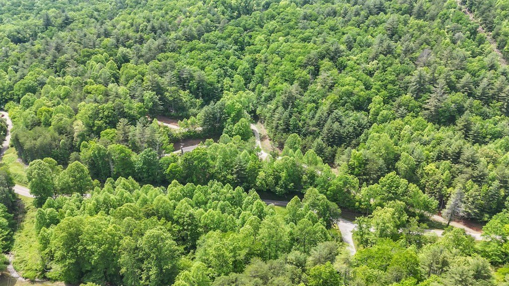 Blairsville, Georgia, 30512, United States, ,Residential,For Sale,1824066