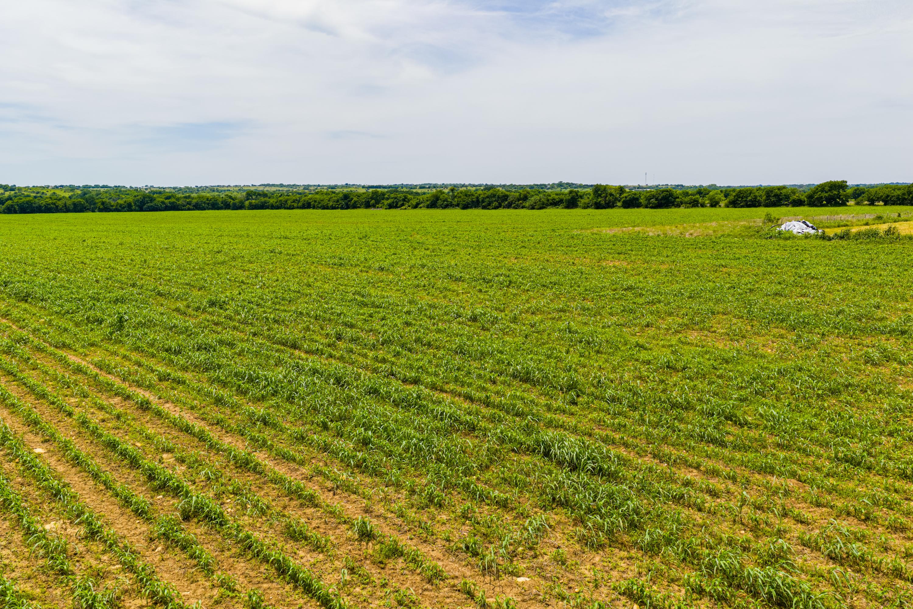  667 Acre Development Property With Two Miles Of Highway Frontage - 物件實景