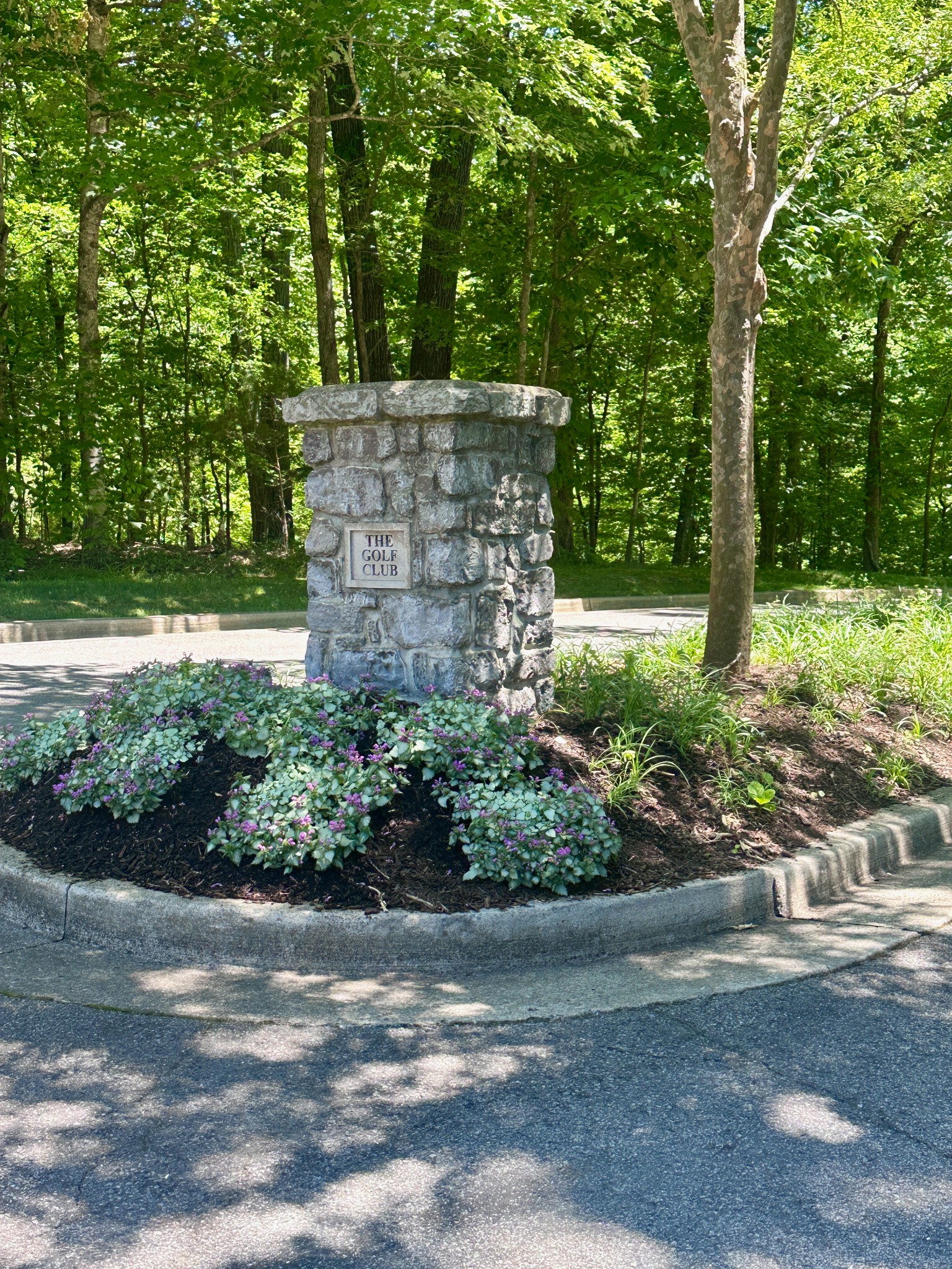  1011 Champion Hills Dr, Kingston Springs, TN, 37082 - 物件實景