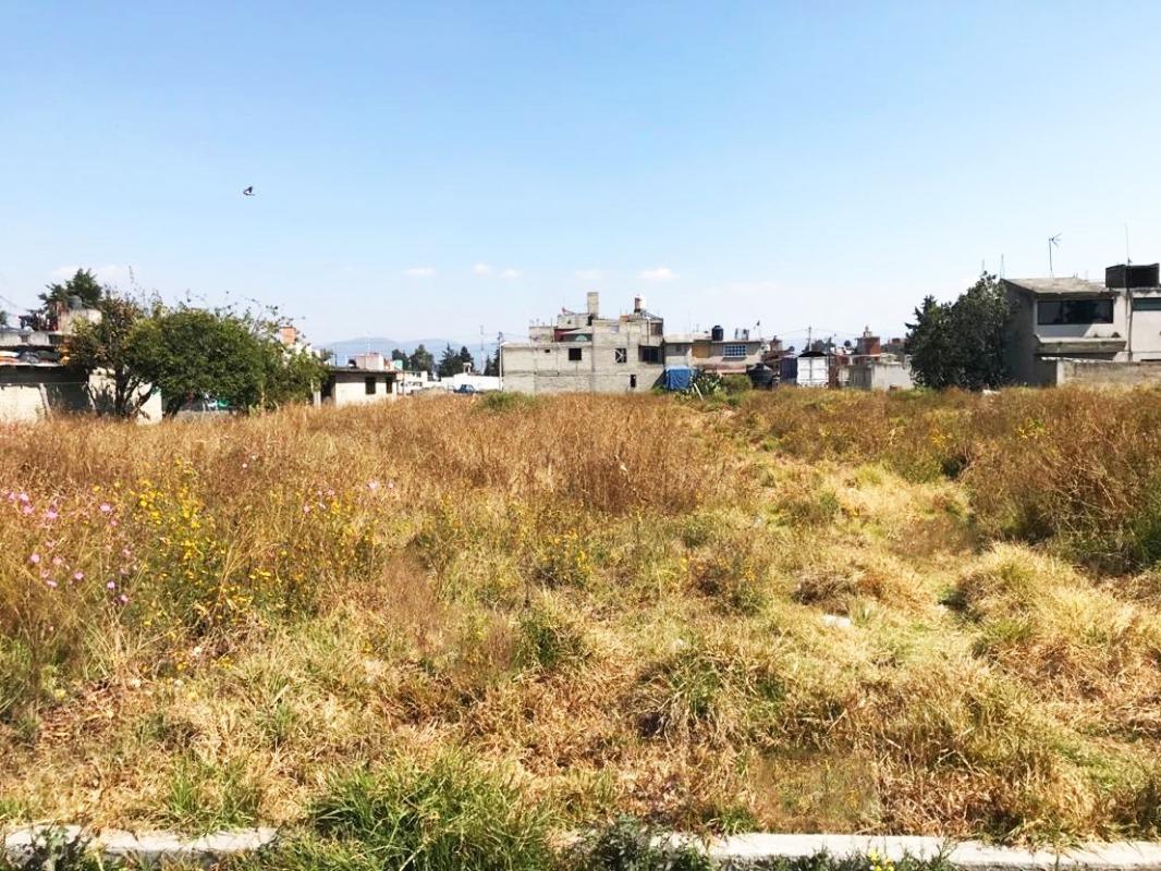 MIGUEL HIDALGO, Toluca, Estado de México, 50226, Mexico, 1 Bedroom Bedrooms, ,Residential,For Sale,MIGUEL HIDALGO,1617061