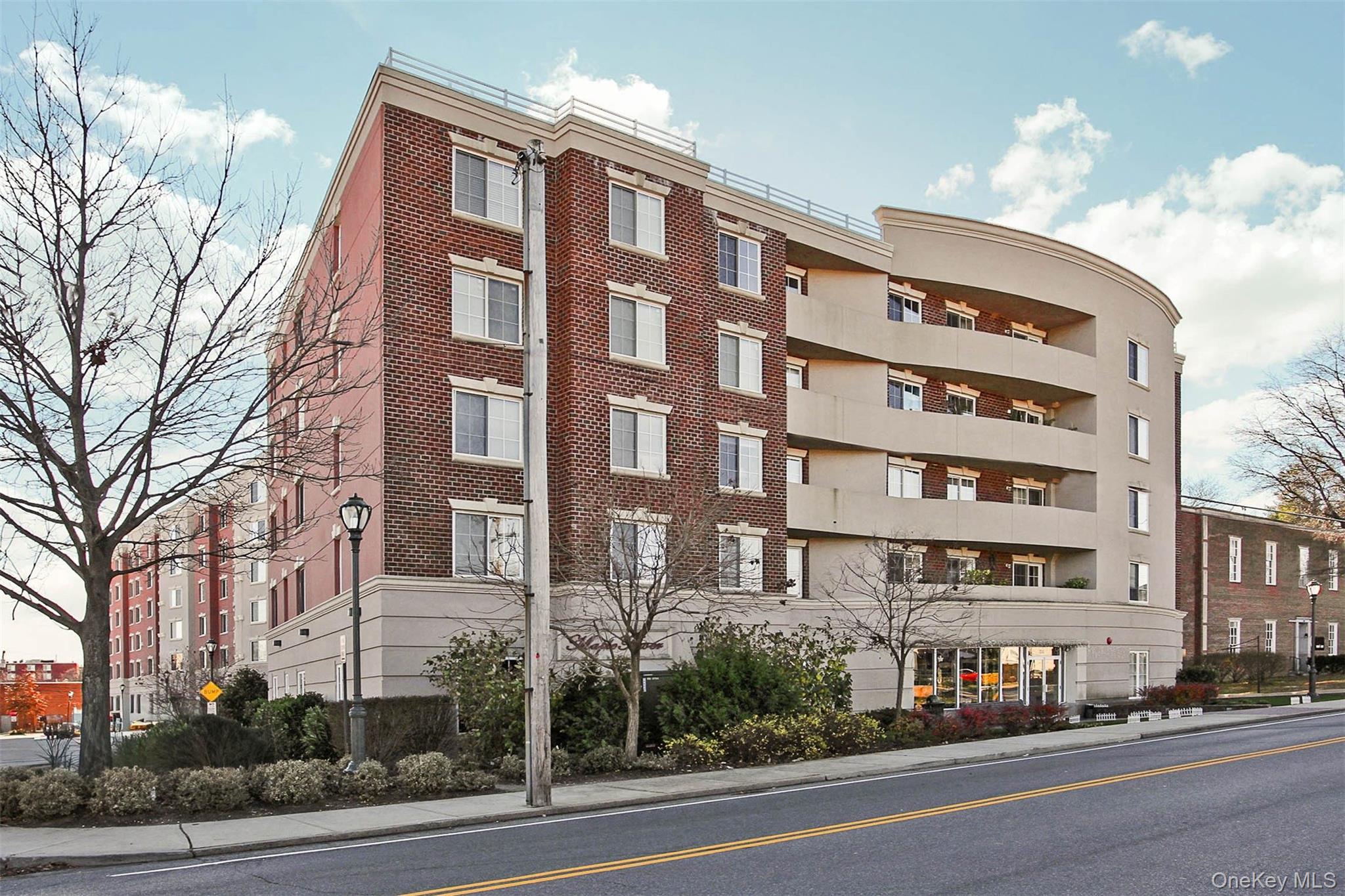  242 Maple Avenue, Westbury, NY, 11590 - 物件實景