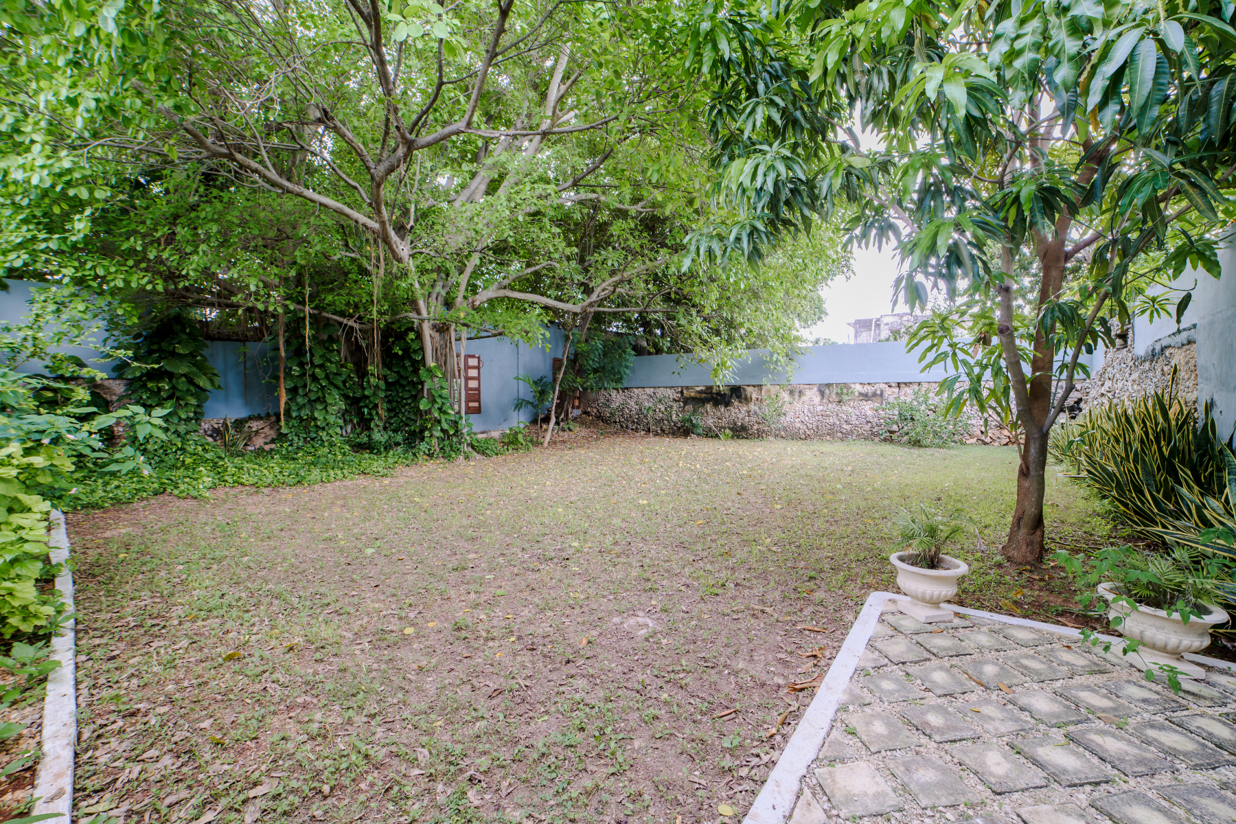  DOWNTOWN MERIDA HERITAGE RETREAT - 物件實景