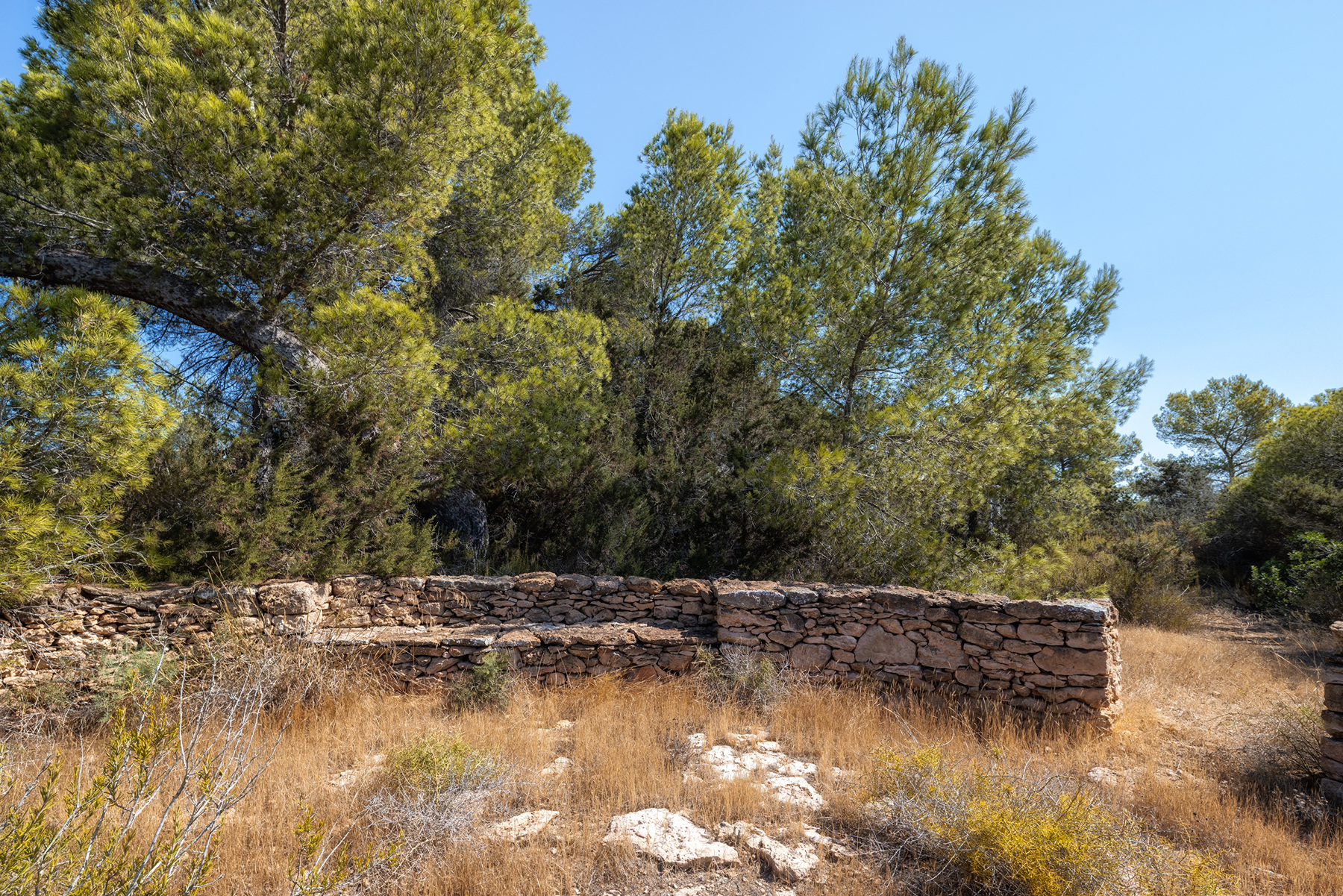  Country house to renovate in Formentera - 物件實景